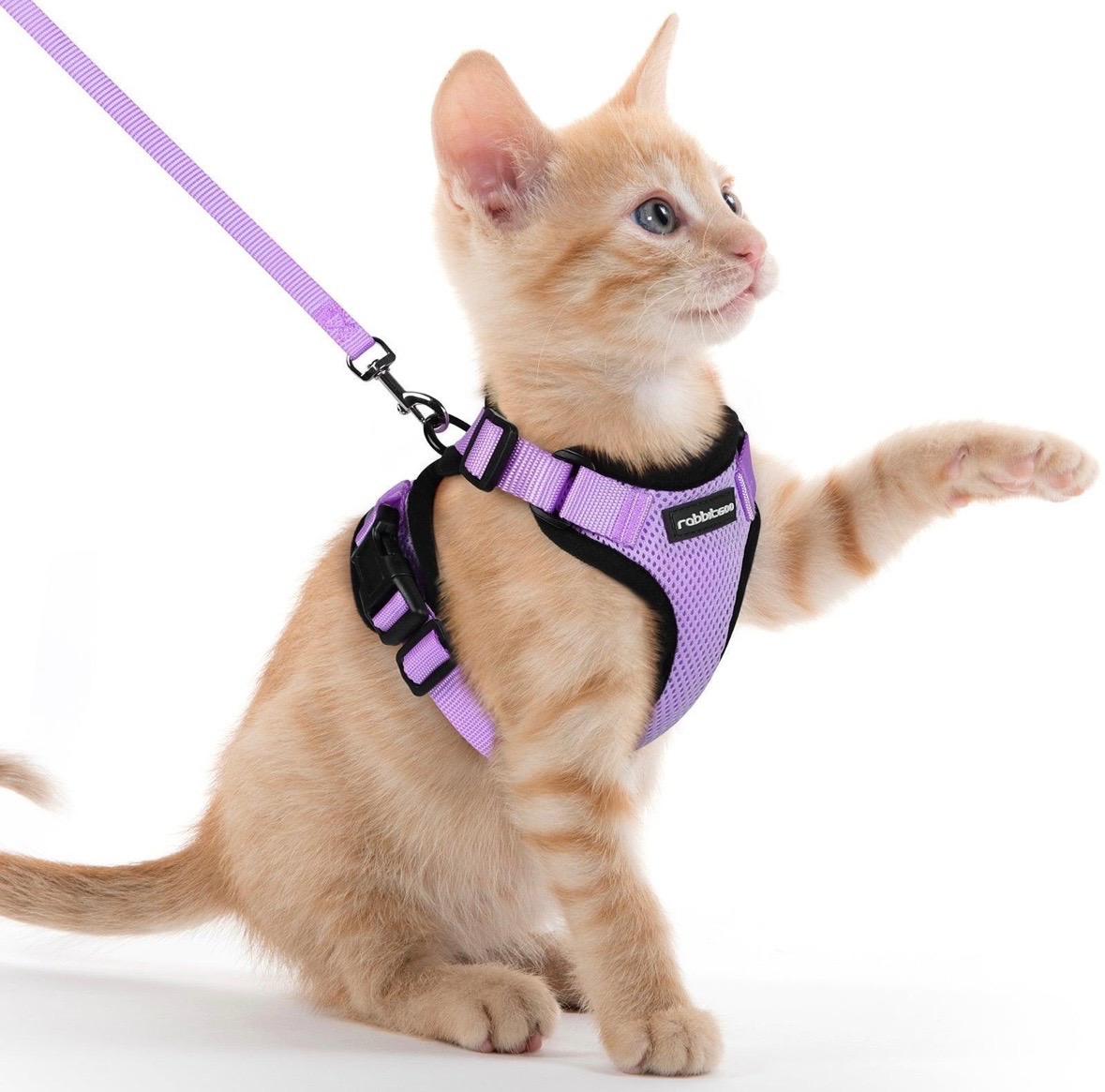 RABBITGOO Lilac Purple Cat Harness & Leash Size Medium - photo 3