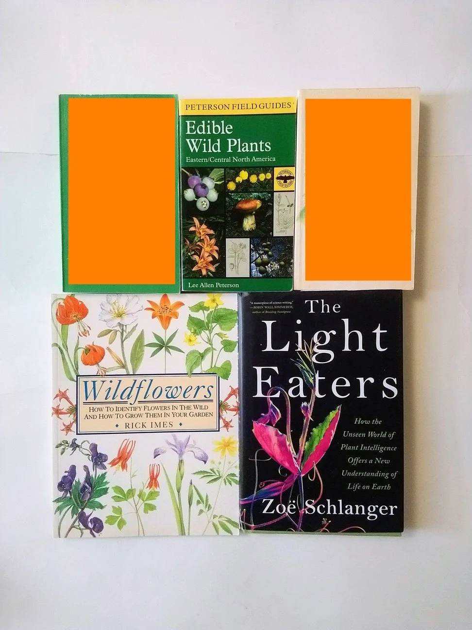 Wildflower & Plant books! thumbnail