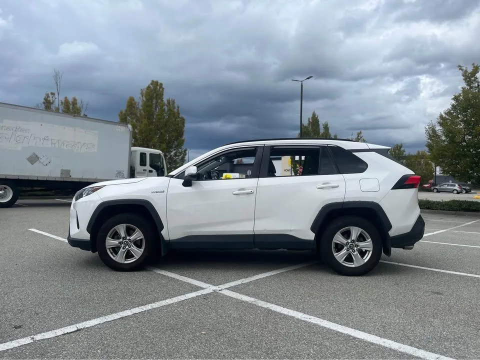 2019 Toyota RAV4 LE Hybrid image indicator(6)