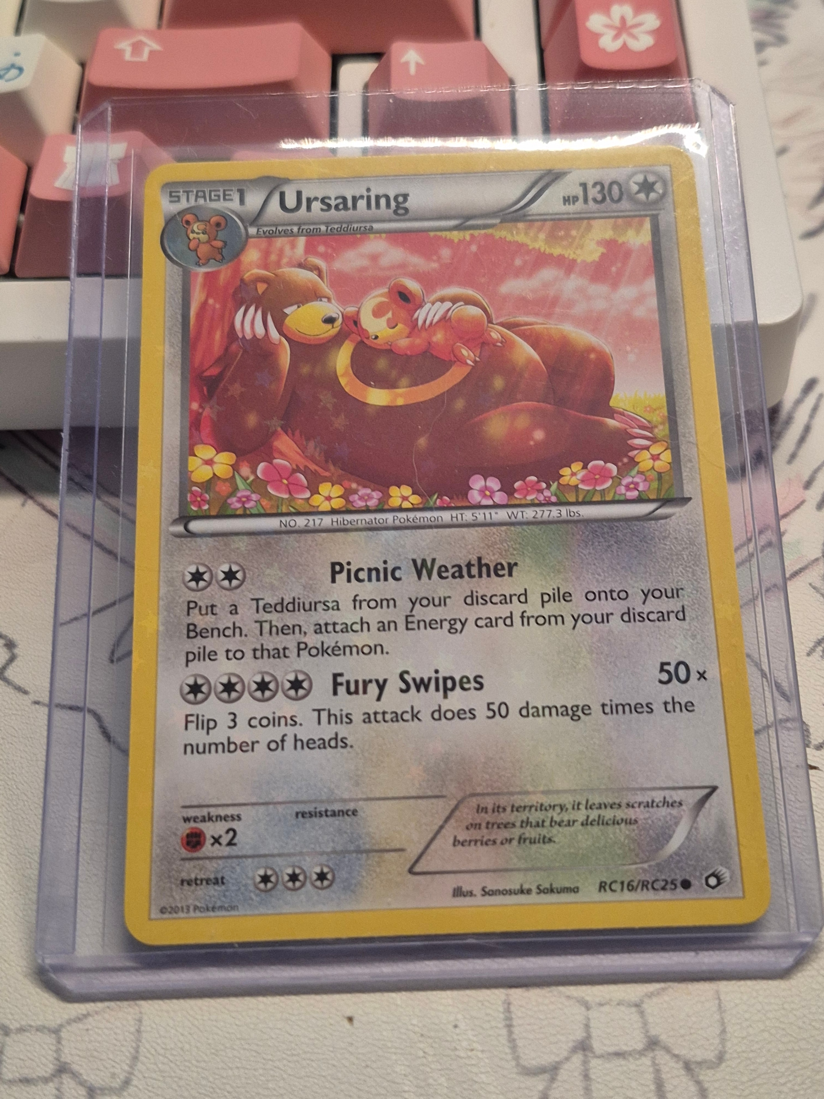 holo ursaring rc16/rc25 pokemon card