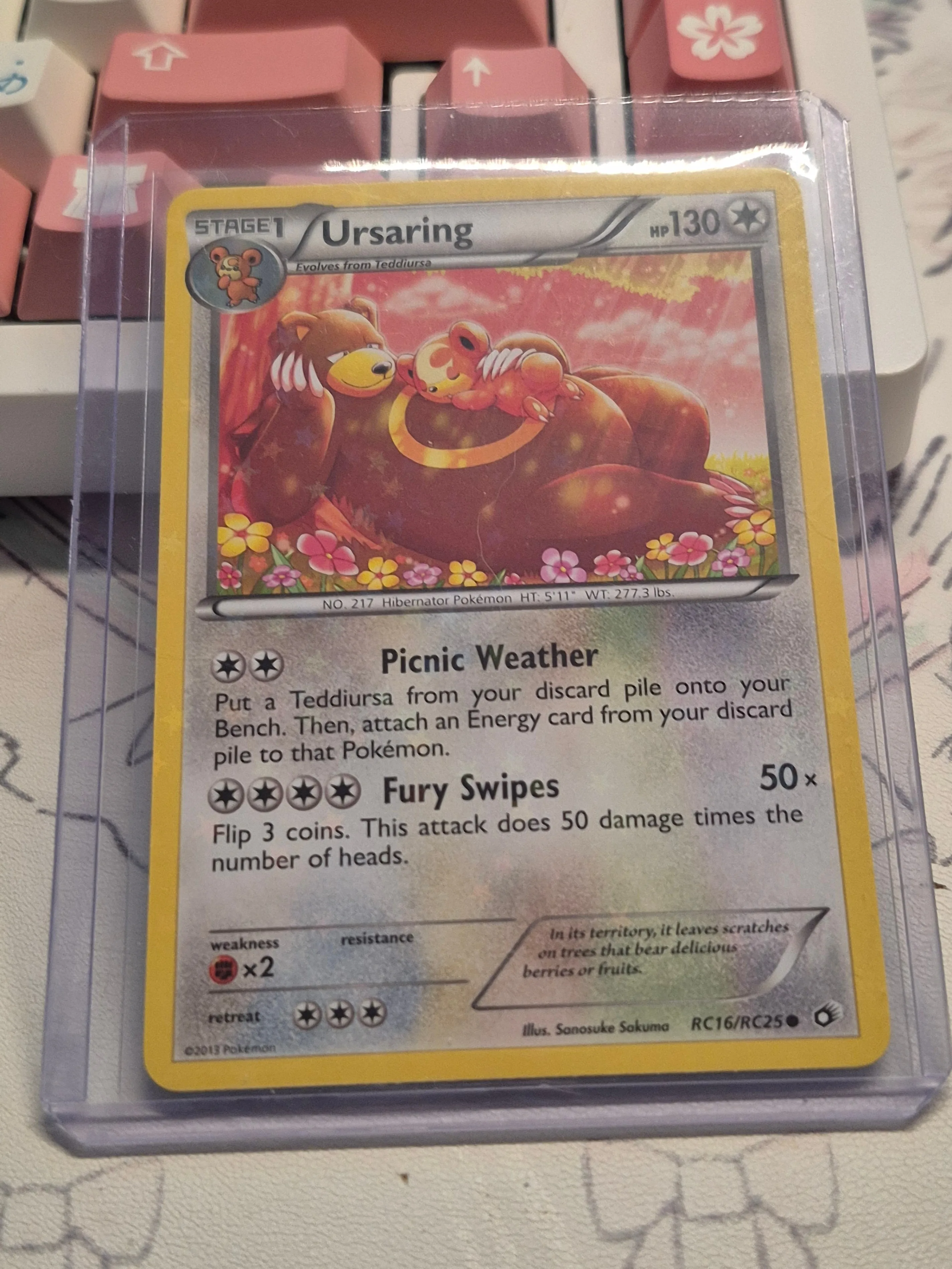 holo ursaring rc16/rc25 pokemon card thumbnail