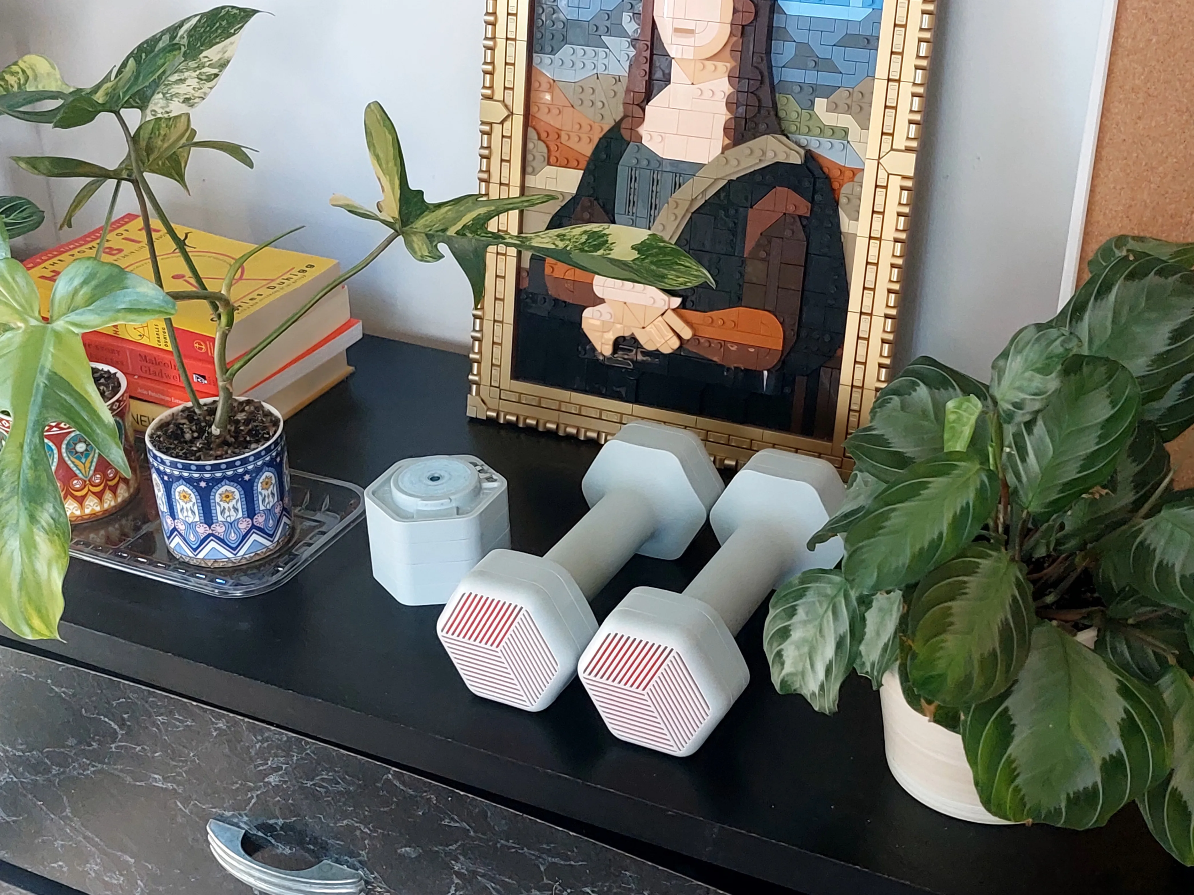 Set of Two Adjustable 2-5lb Dumbbells image indicator(4)