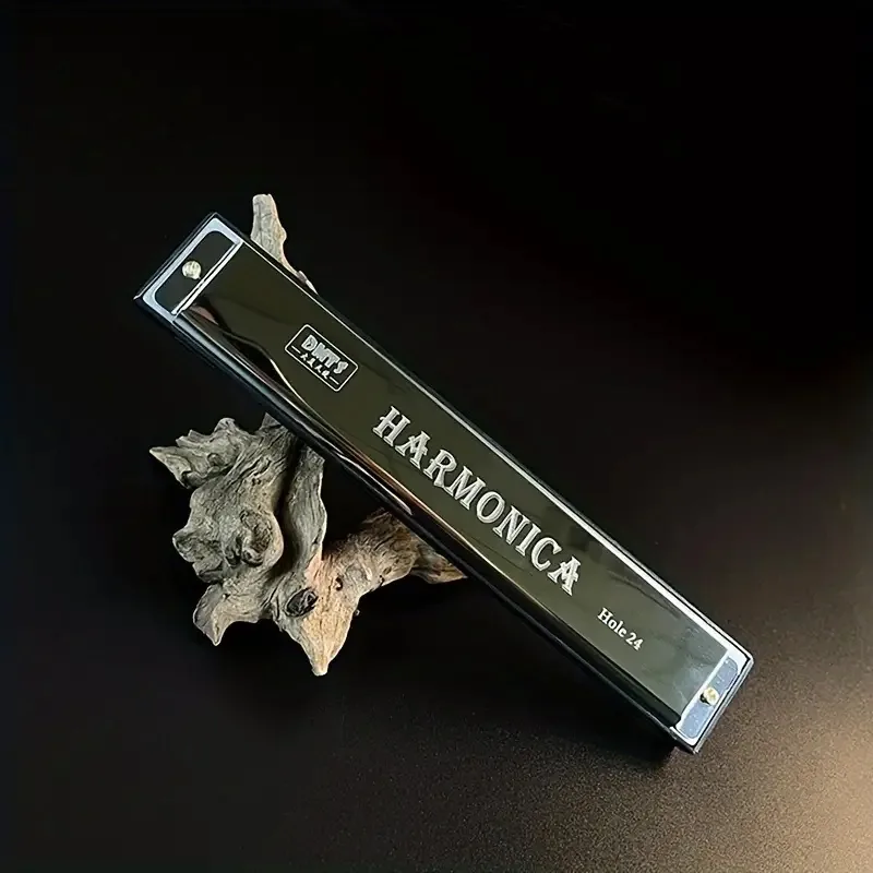 24-Hole Harmonica for Beginners Brand New Black, Red, Blue, Gold image indicator(9)