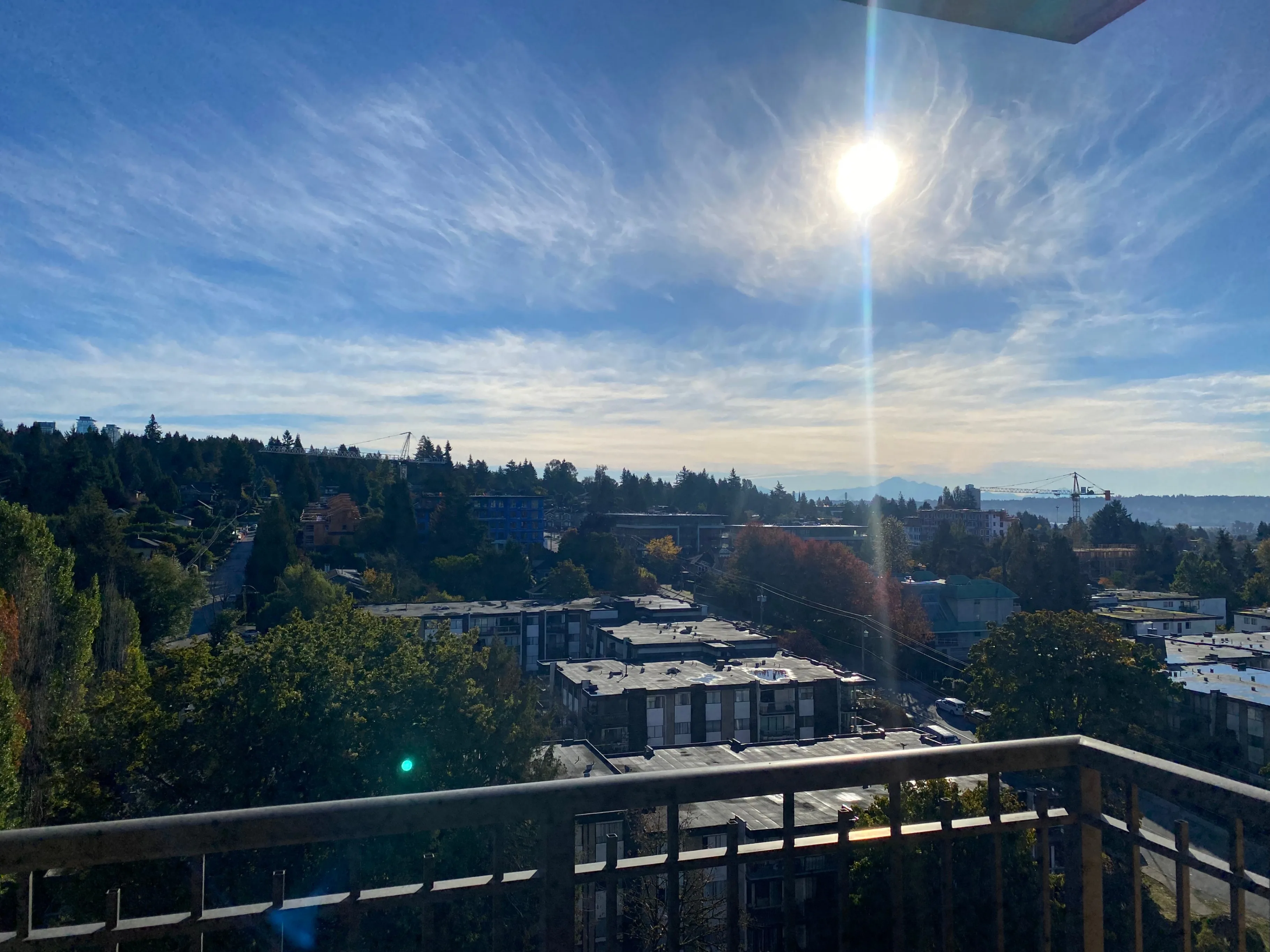 Room rent November 1st / 5-min walk to Lougheed station / $950 image indicator(4)