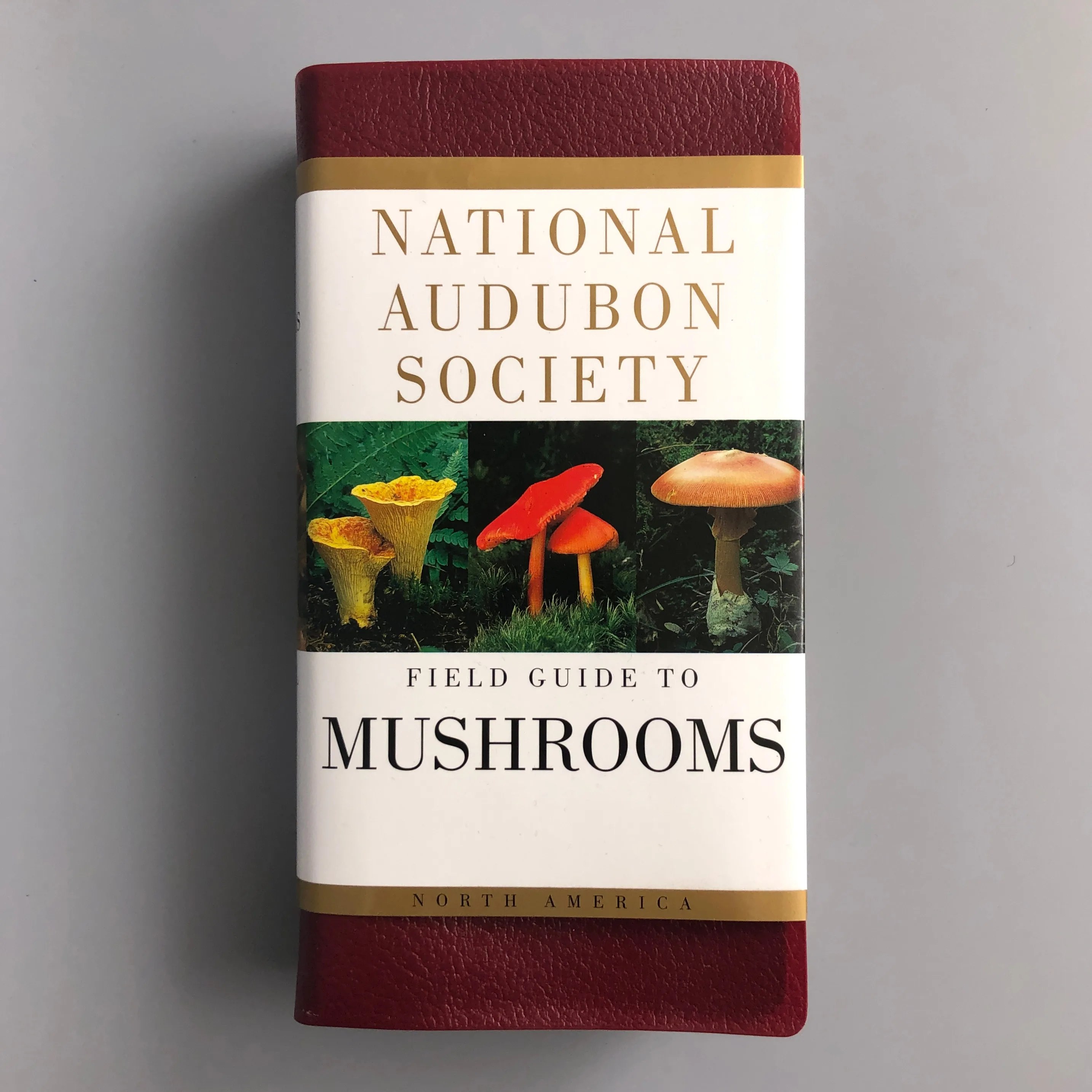 MUSHROOMS! Mycology Book, Hunting Brush/Knife, & Field Guide! image indicator(2)
