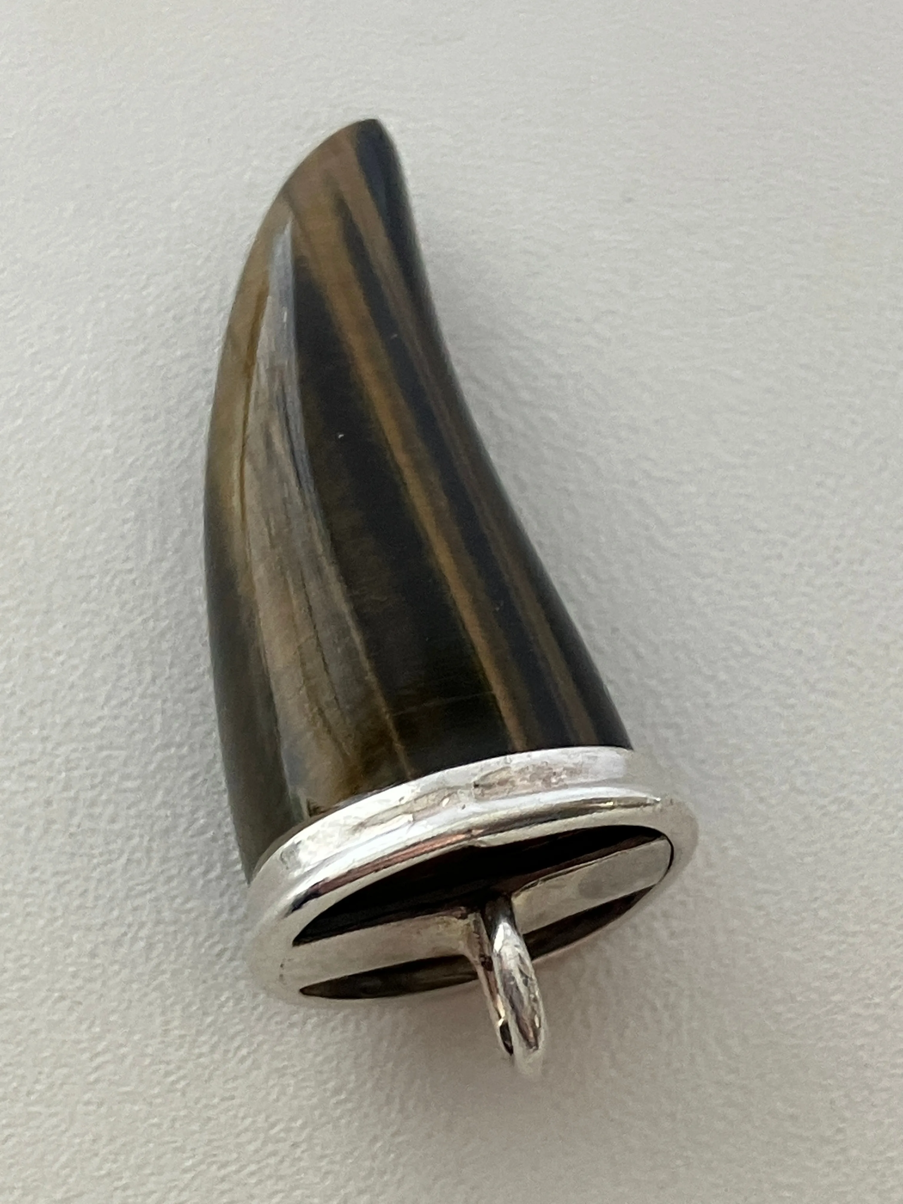 Tiger Eye Horn, Tooth, Claw Sterling Sliver Pendant image indicator(3)