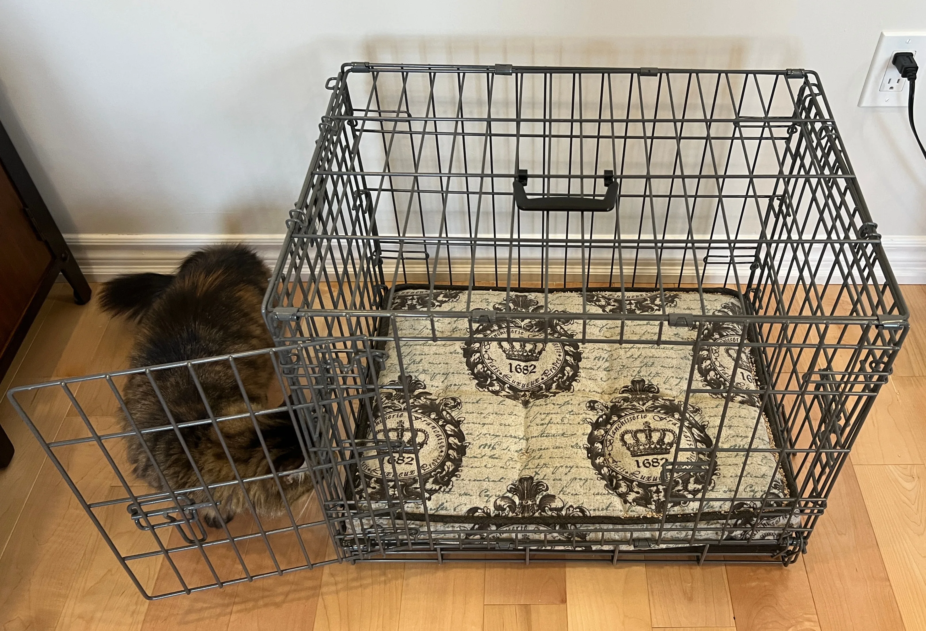 Luxury Puppy 'Apartment' Cage - ModernPuppies.com image indicator(7)