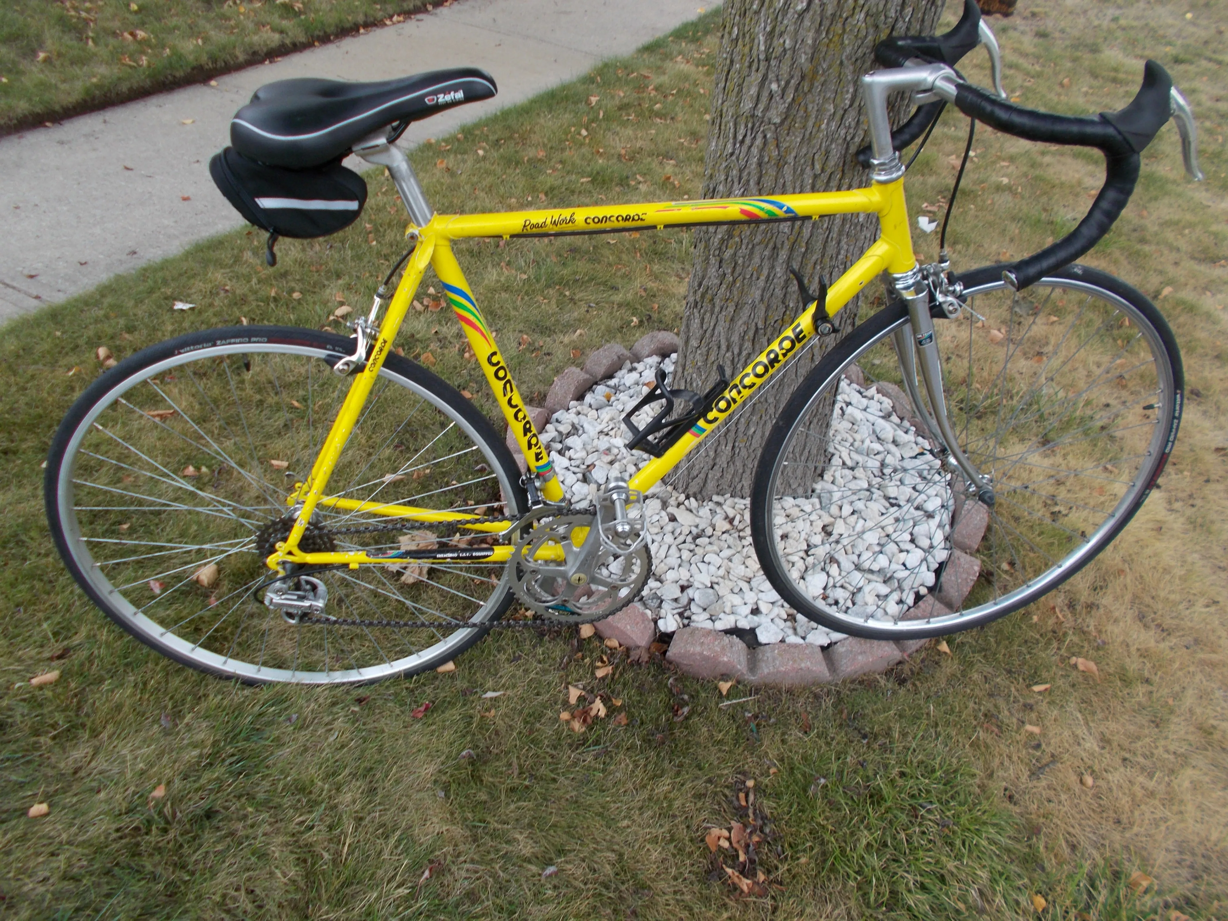 CONCORDE Yard Works road bike EXCELLENT SHAPE,TUNED image indicator(10)