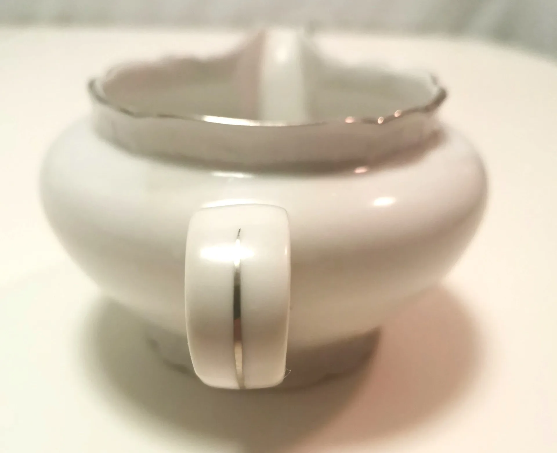 1950s Saucière Botanical Fine Bohemian Bone China Made in Czech image indicator(2)