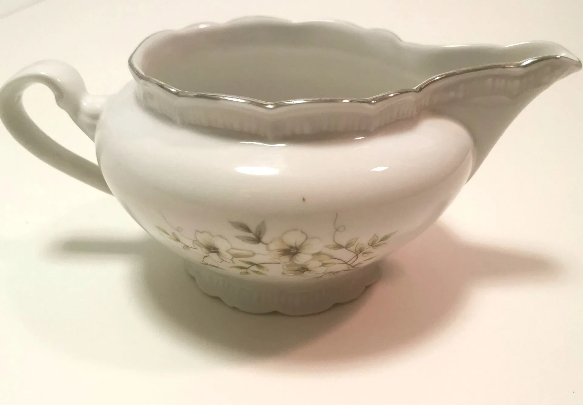 1950s Saucière Botanical Fine Bohemian Bone China Made in Czech image indicator(4)