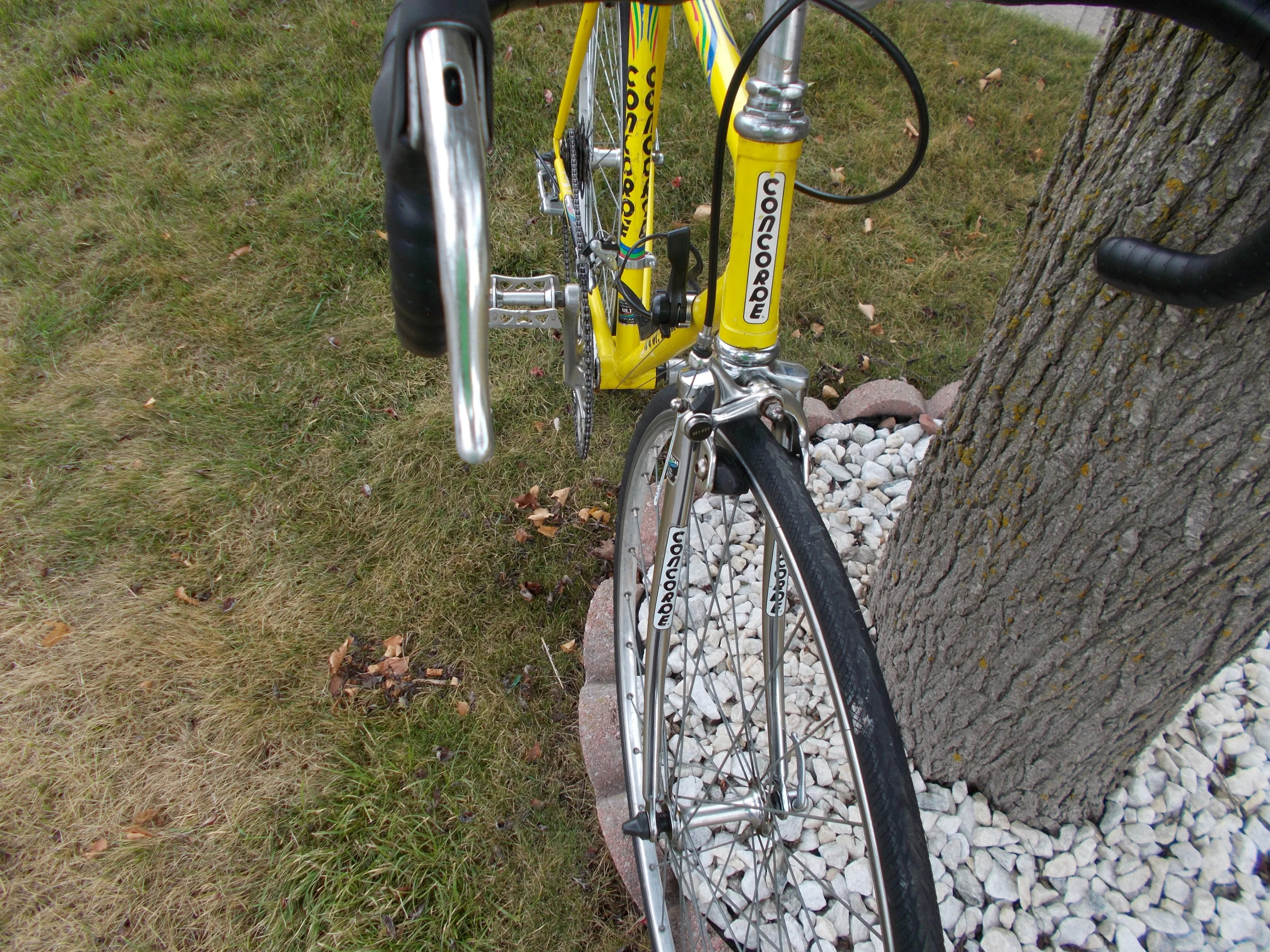 CONCORDE Yard Works road bike EXCELLENT SHAPE,TUNED image indicator(8)