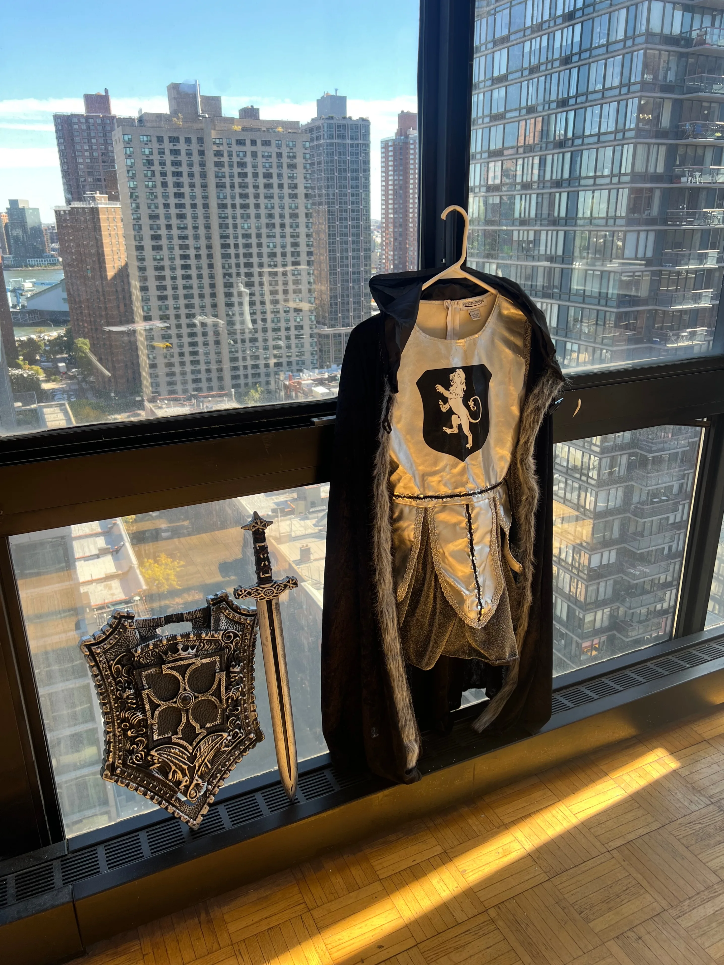 Medieval Knight Halloween Costume Kid’s Large w/ Sword & Shield image indicator(9)