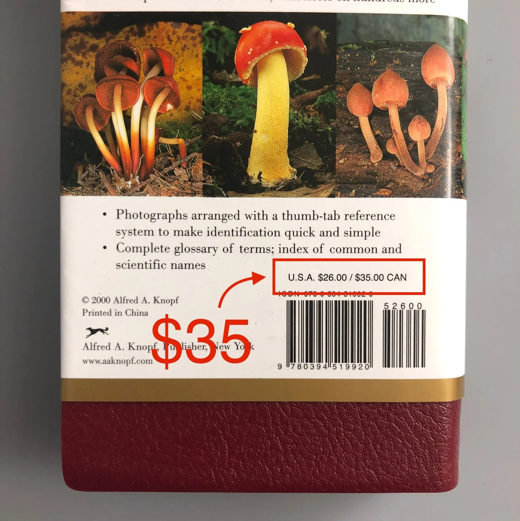 MUSHROOMS! Mycology Book, Hunting Brush/Knife, & Field Guide! image indicator(5)