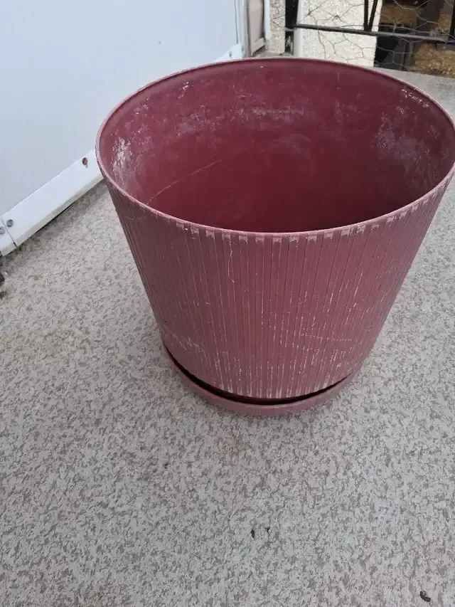 Large size Flower Pot thumbnail