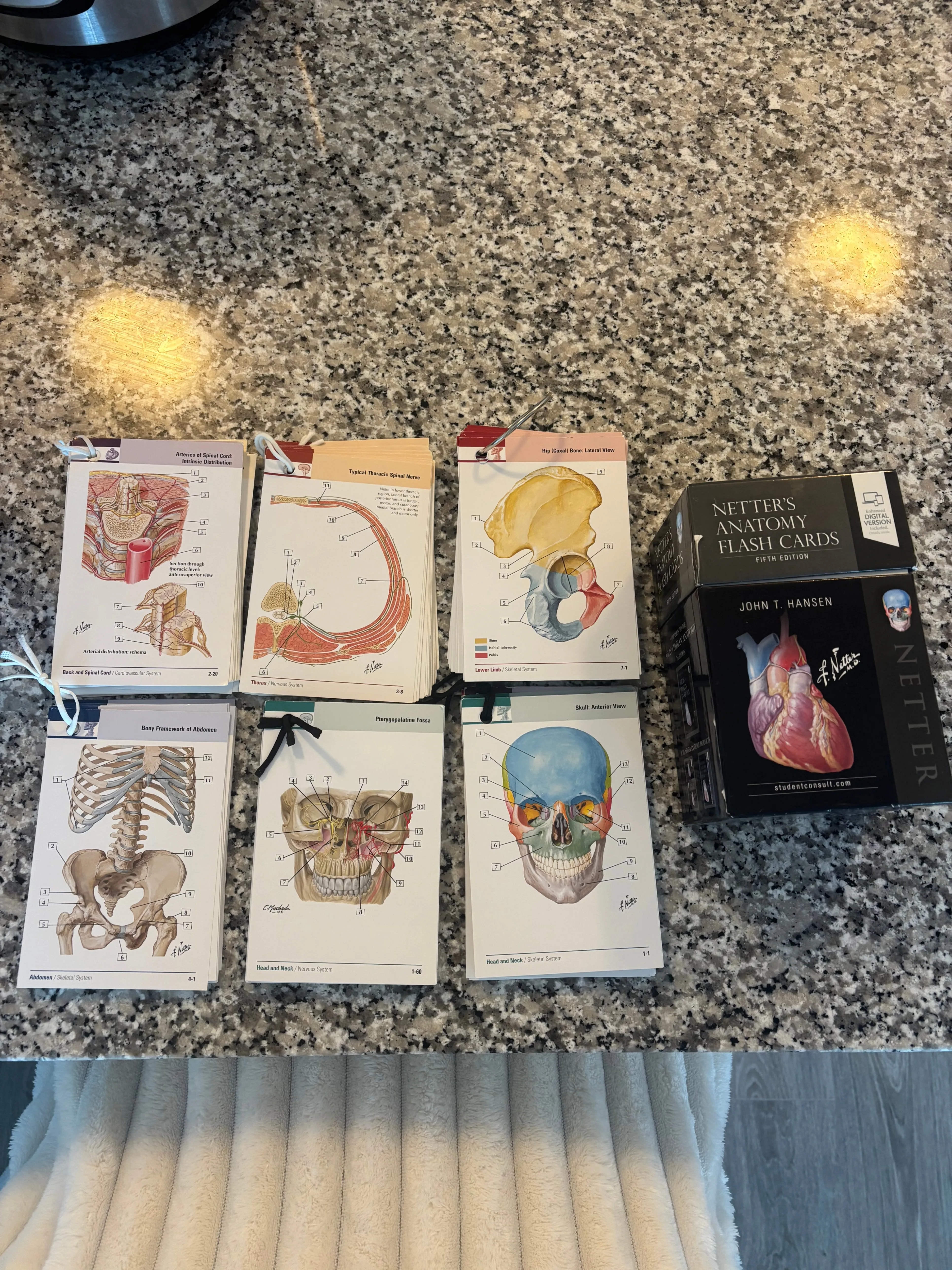 Netter’s Anatomy Flash Cards 5th Edition (Hansen) Complete Set