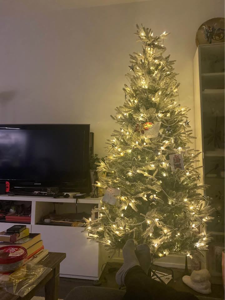 Snow Dusted Christmas Tree (LED Lights, Multicolour/White) - photo 3