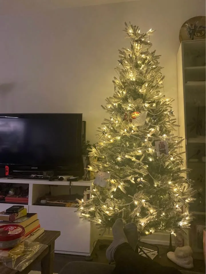 Snow Dusted Christmas Tree (LED Lights, Multicolour/White) image indicator(3)