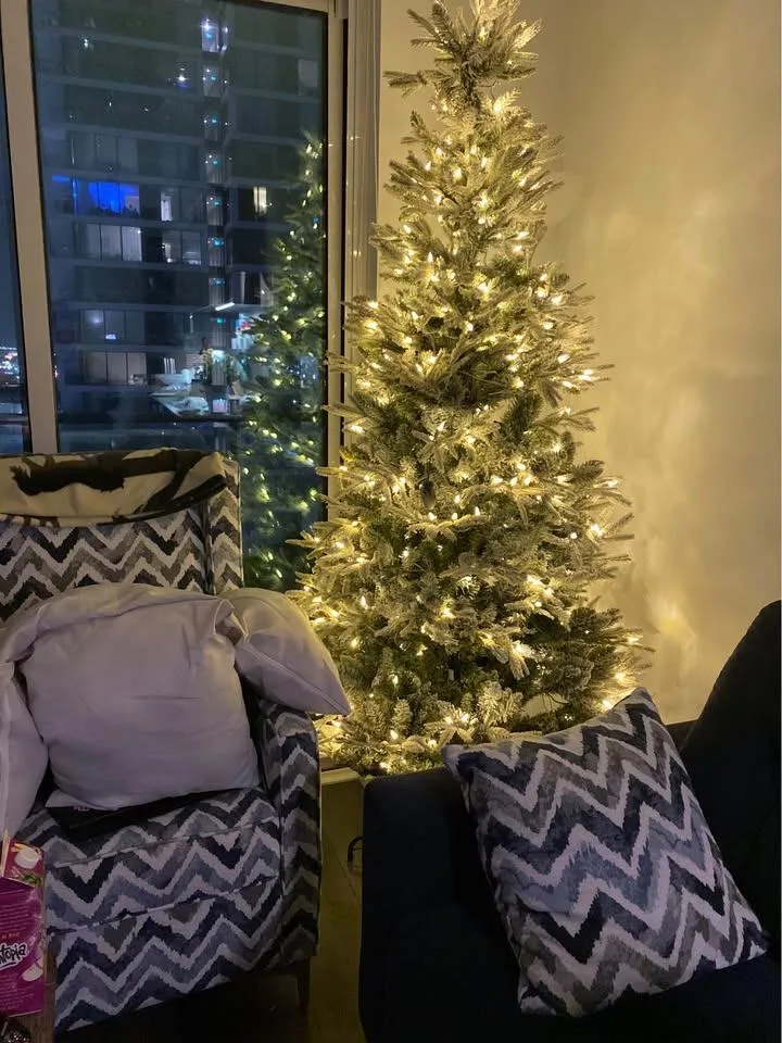 Snow Dusted Christmas Tree (LED Lights, Multicolour/White) image indicator(2)