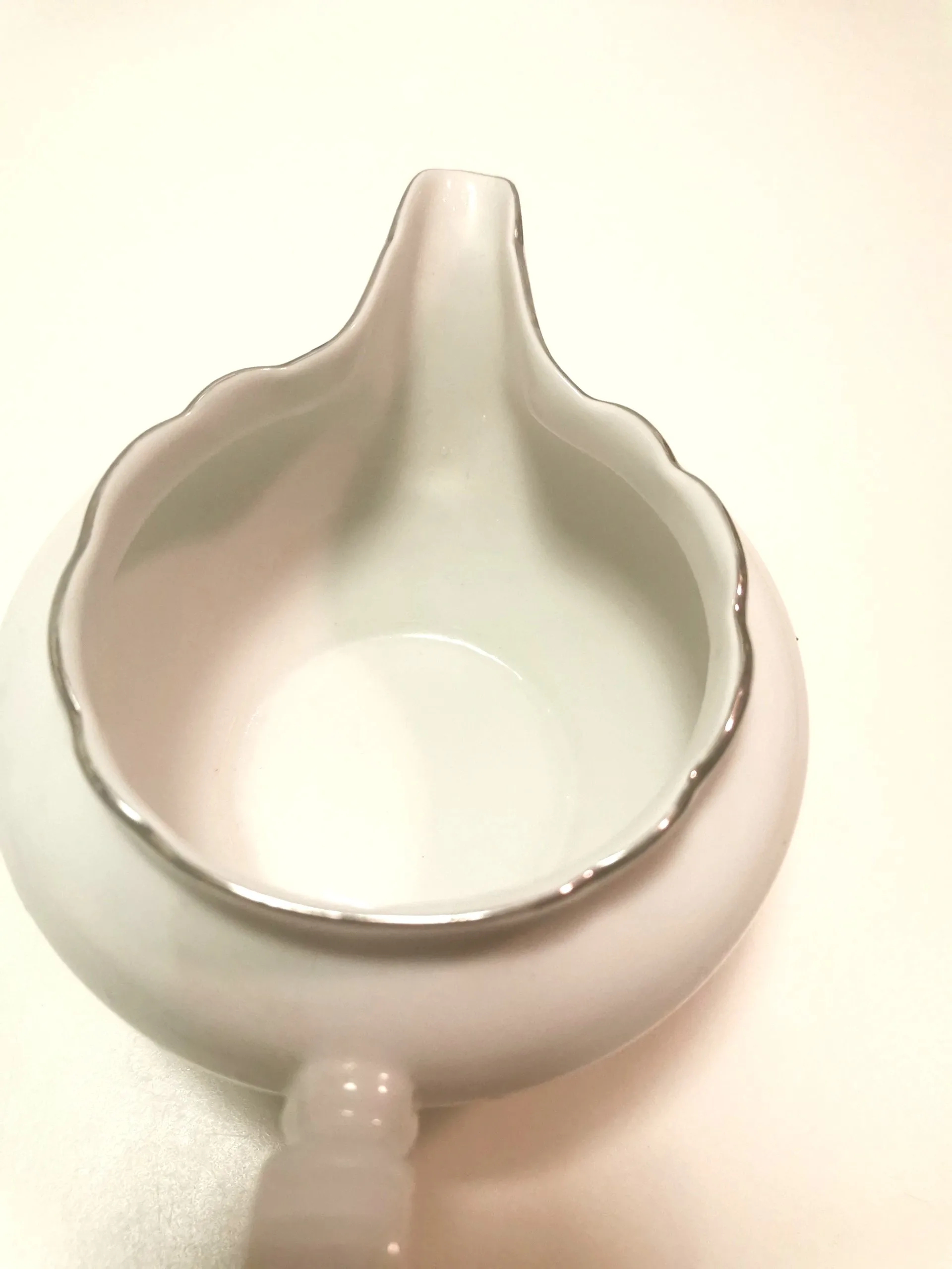 1950s Saucière Botanical Fine Bohemian Bone China Made in Czech image indicator(3)