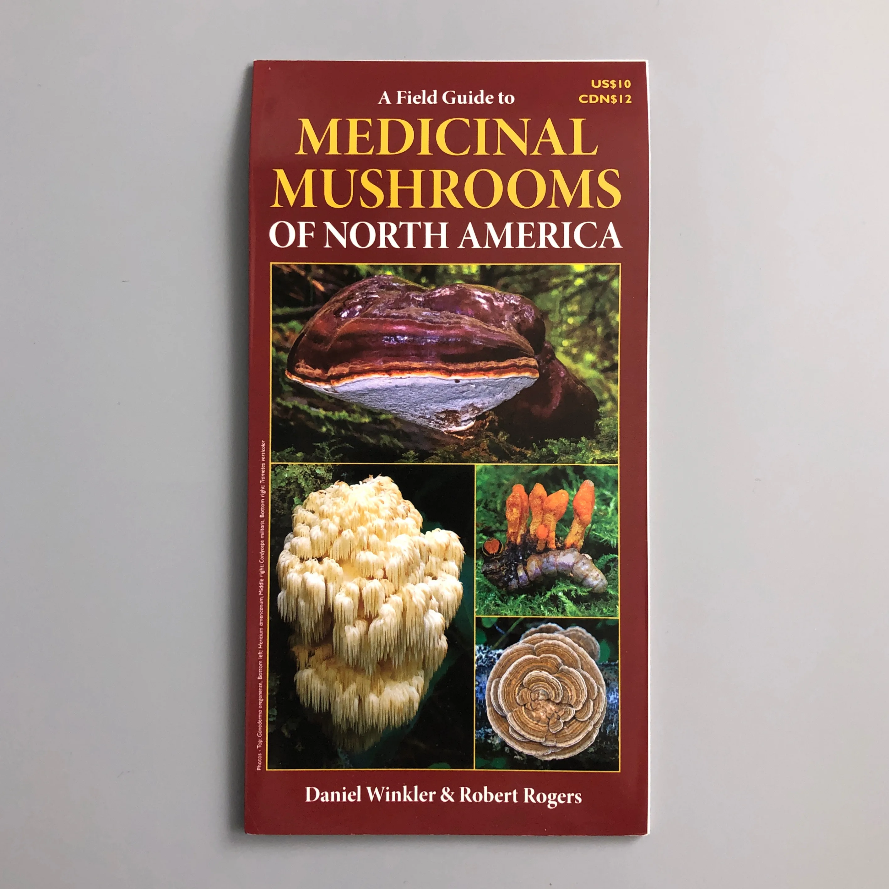 MUSHROOMS! Mycology Book, Hunting Brush/Knife, & Field Guide! image indicator(9)