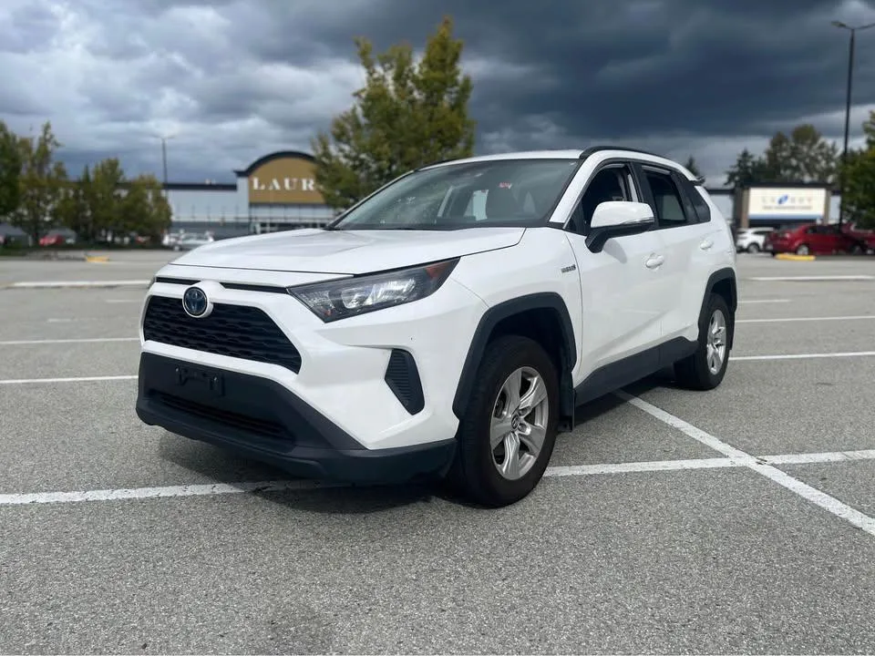 2019 Toyota RAV4 LE Hybrid image indicator(7)