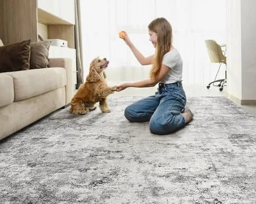 UERMEI 5x7 Area Rug Living Room Rugs - Washable Neutral Modern image indicator(2)