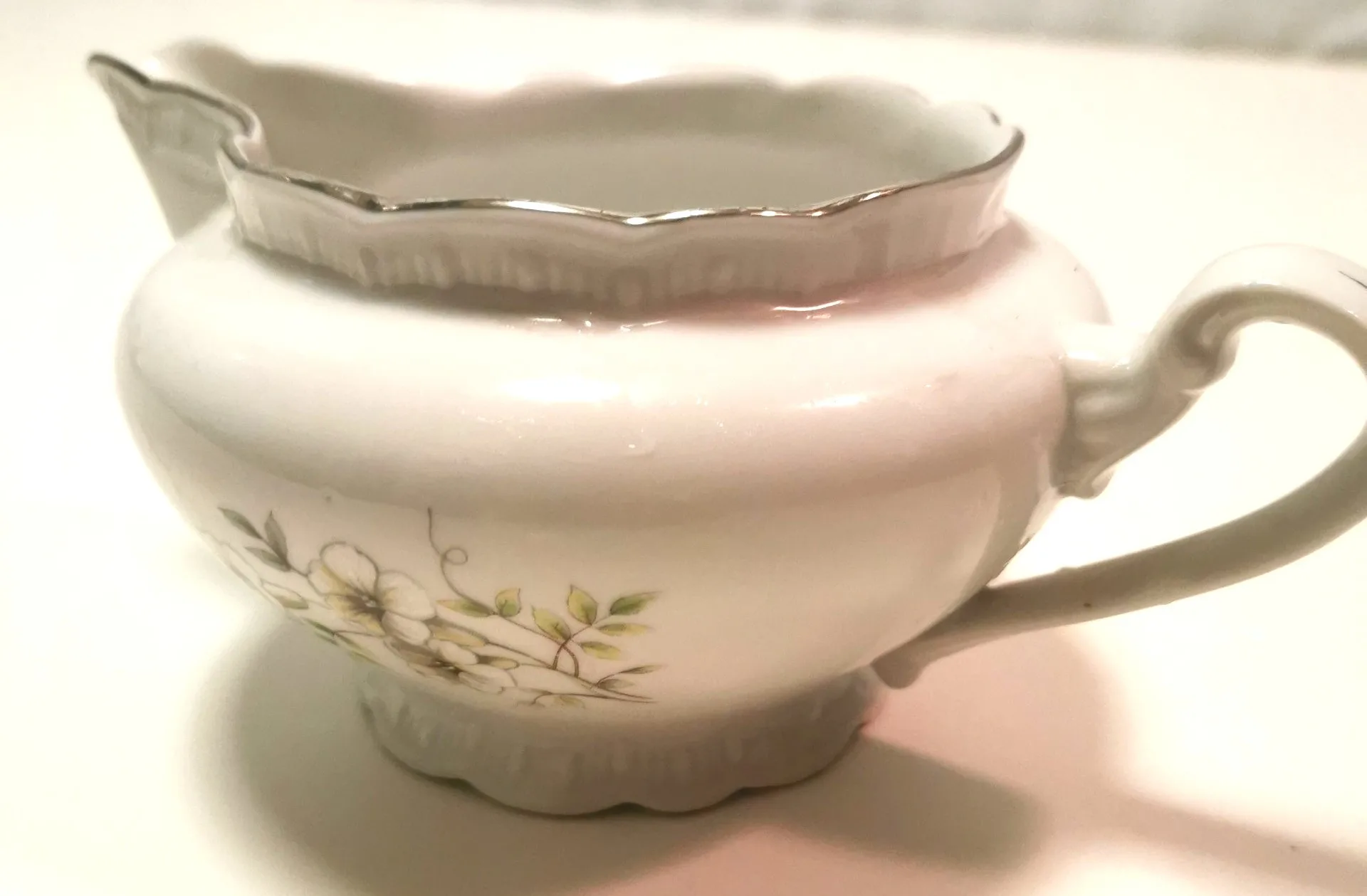 1950s Saucière Botanical Fine Bohemian Bone China Made in Czech image indicator(8)