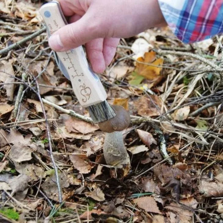 Pro Mushroom Foraging/Hunting Brush & Knife Tool image indicator(6)