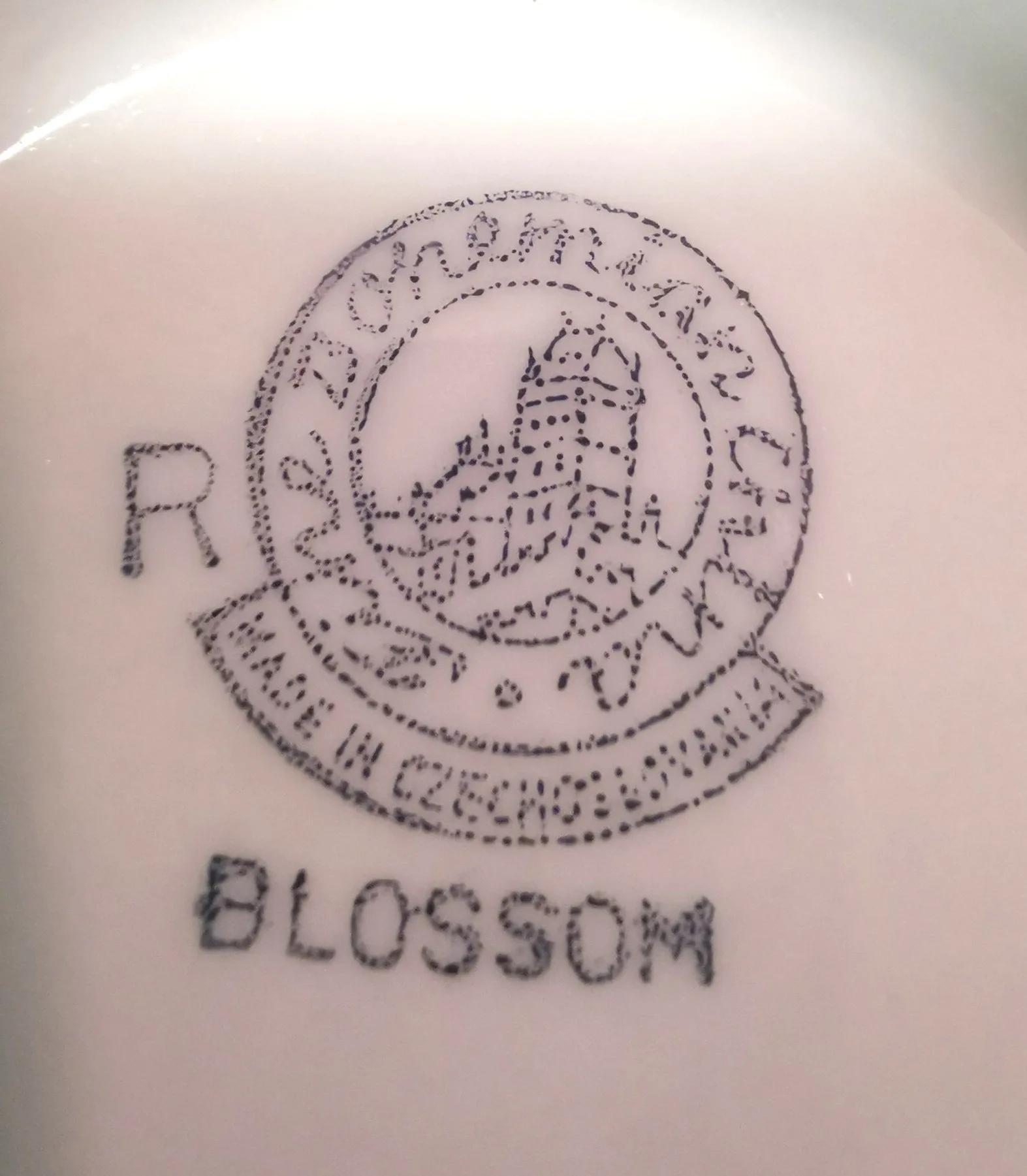 1950s Saucière Botanical Fine Bohemian Bone China Made in Czech image indicator(7)