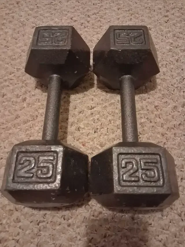 25 lb Dumbbells thumbnail