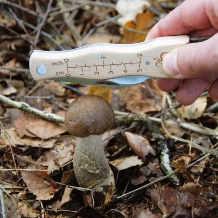 Pro Mushroom Foraging/Hunting Brush & Knife Tool image indicator(7)