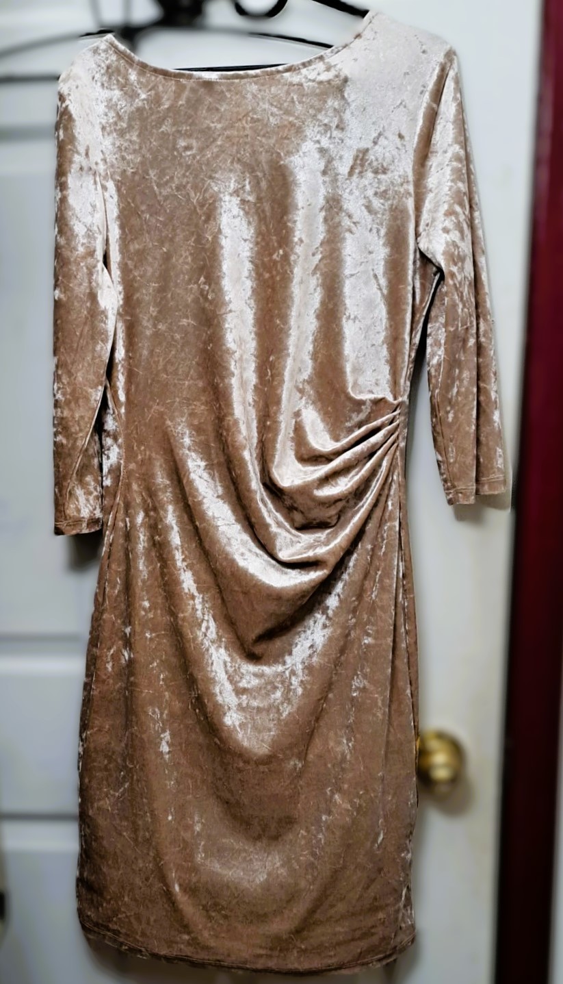 New On-trend Style Women's Salmon Pink Velvet Dress