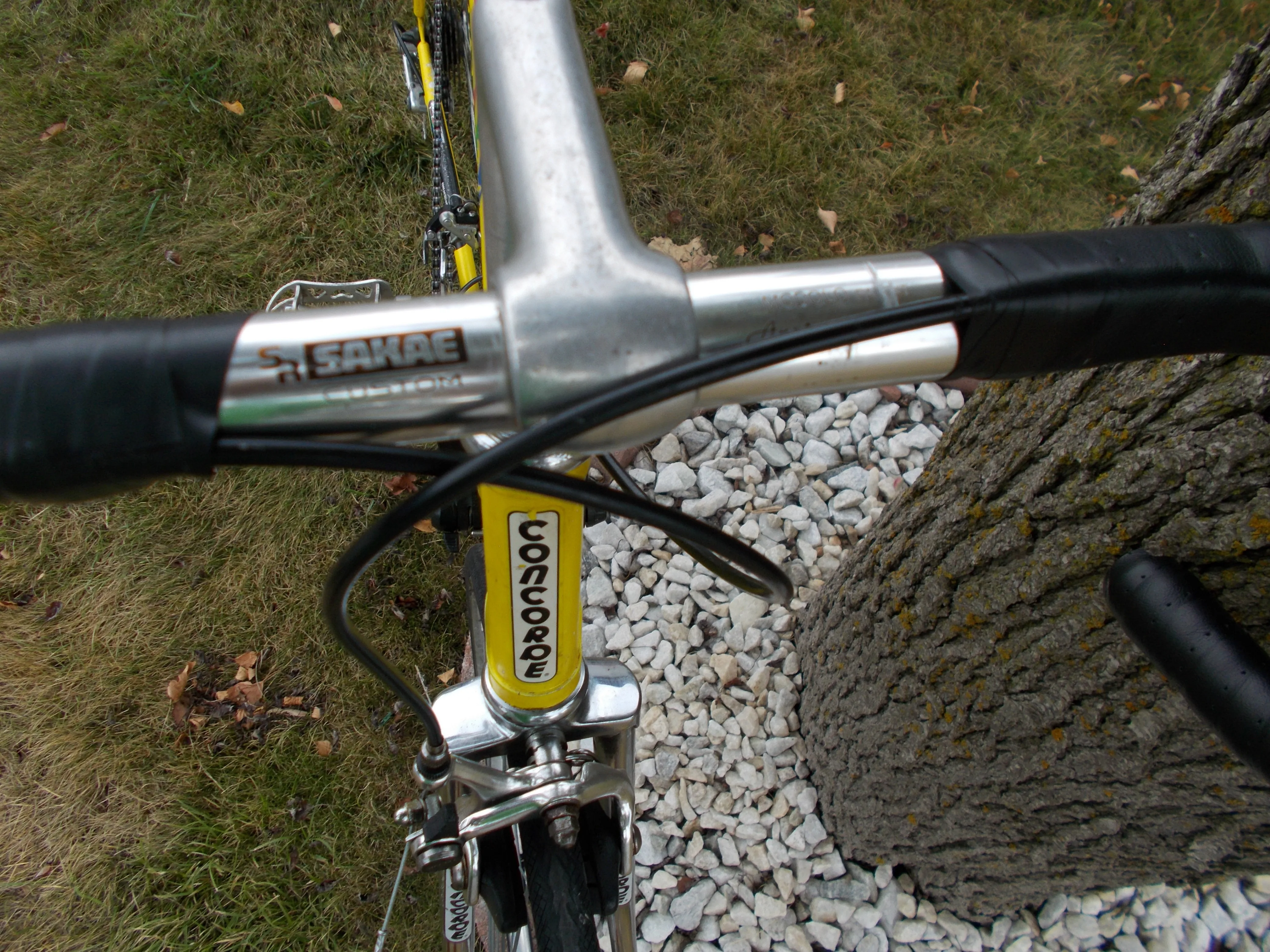 CONCORDE Yard Works road bike EXCELLENT SHAPE,TUNED image indicator(7)