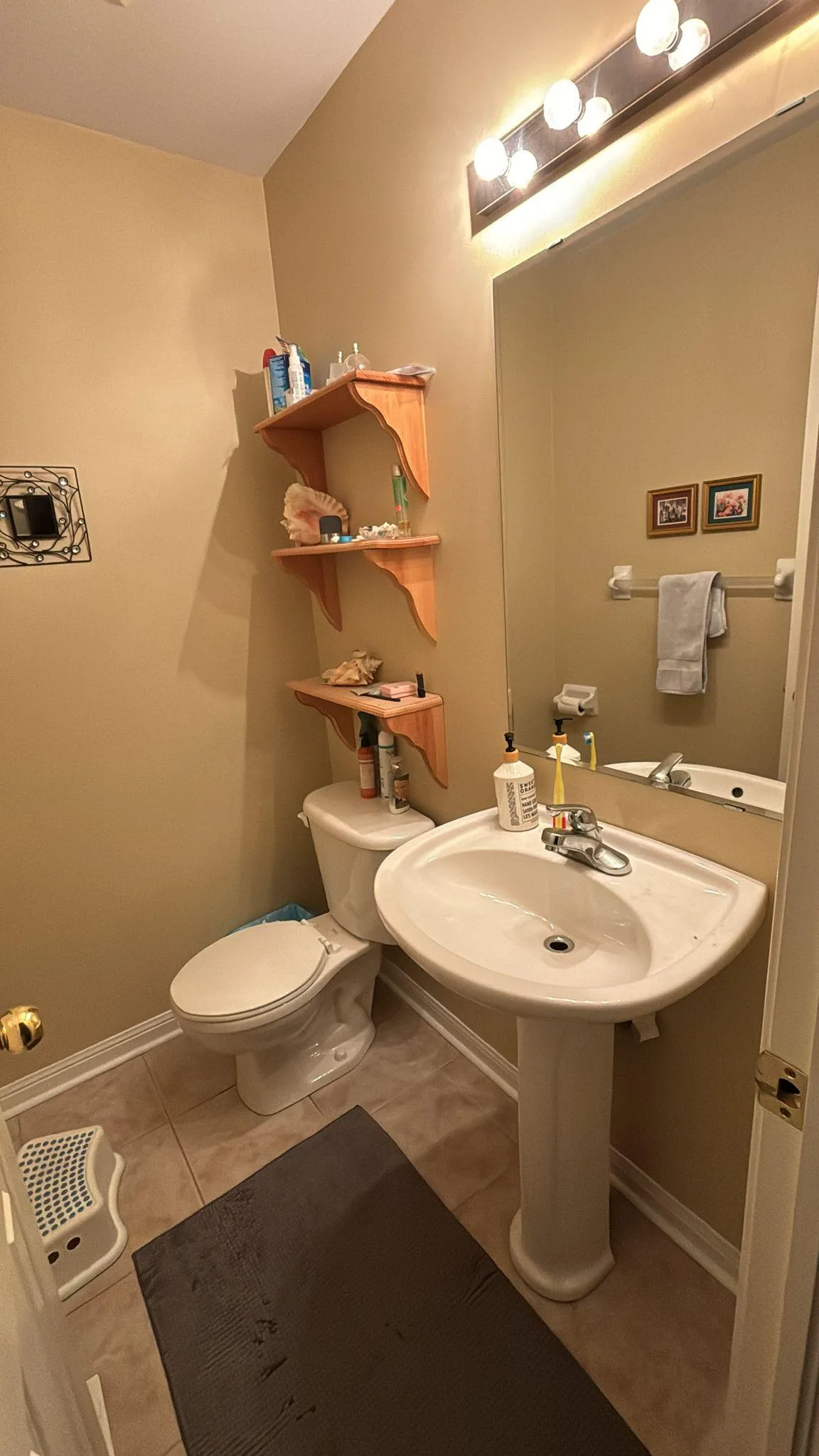 3 Bd House for Rent (Mount Pleasant - Brampton) image indicator(2)