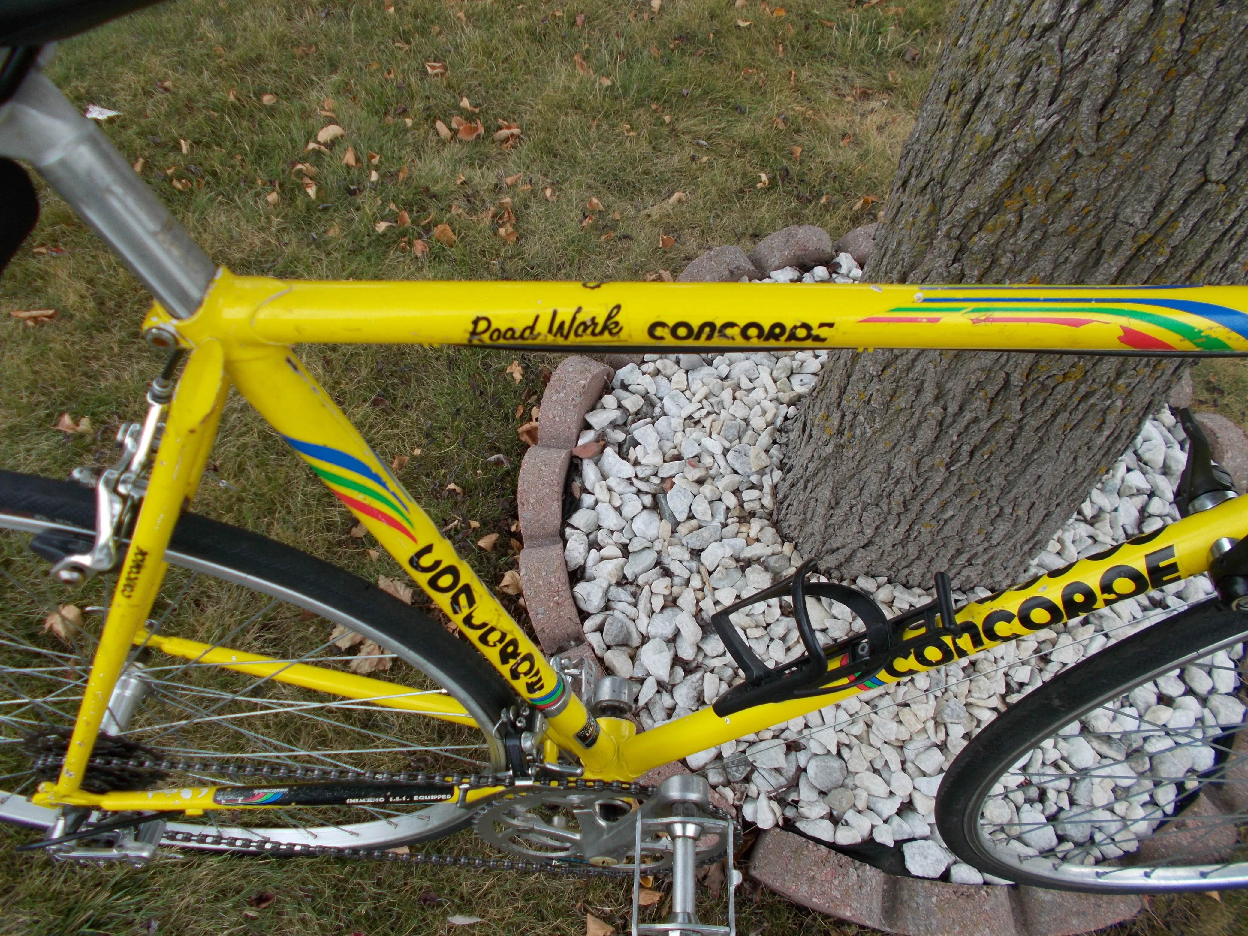 CONCORDE Yard Works road bike EXCELLENT SHAPE,TUNED image indicator(5)