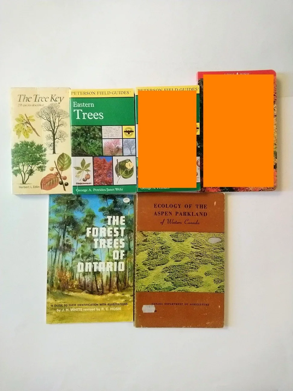 Tree / Ecology books! thumbnail