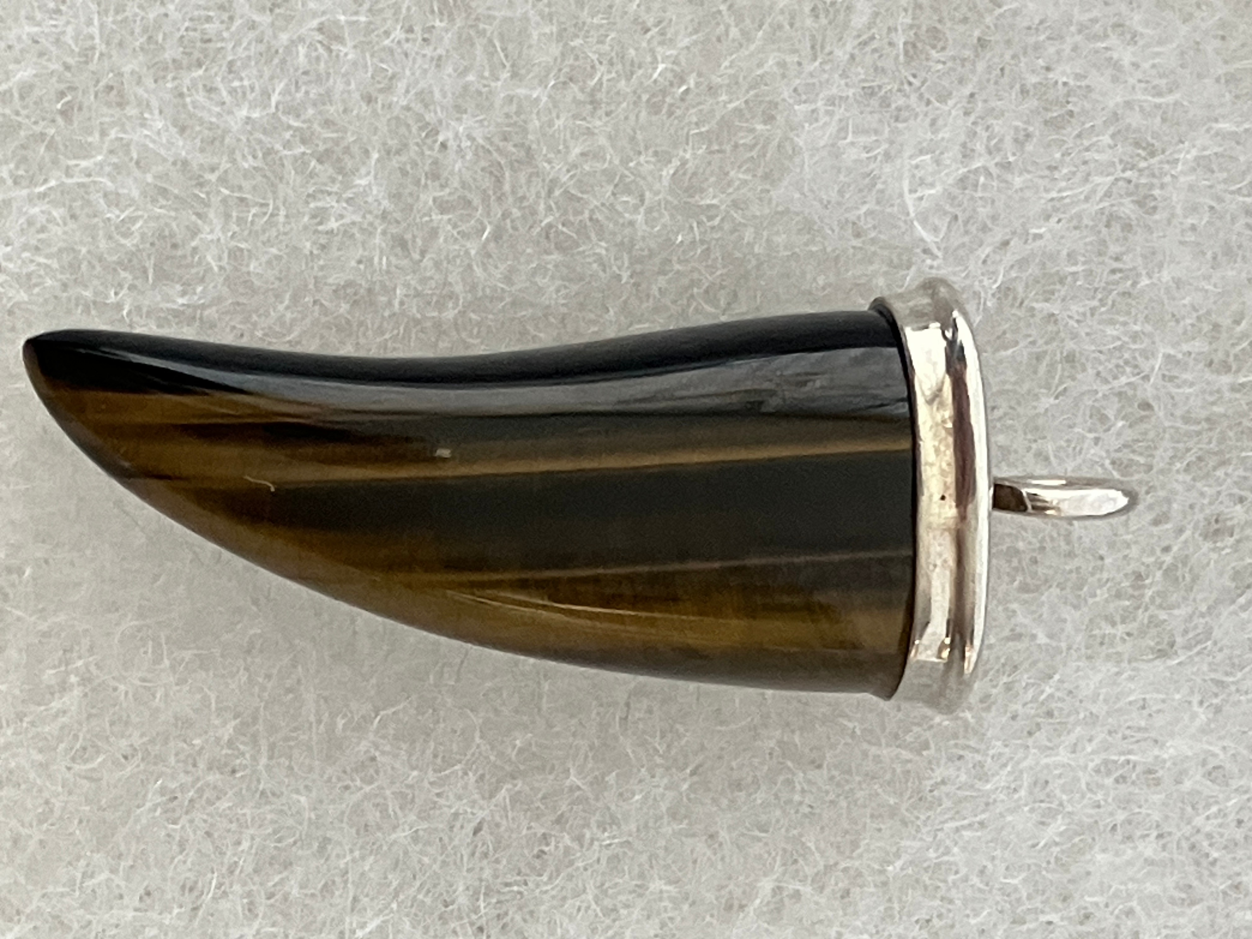Tiger Eye Horn, Tooth, Claw Sterling Sliver Pendant - photo 4