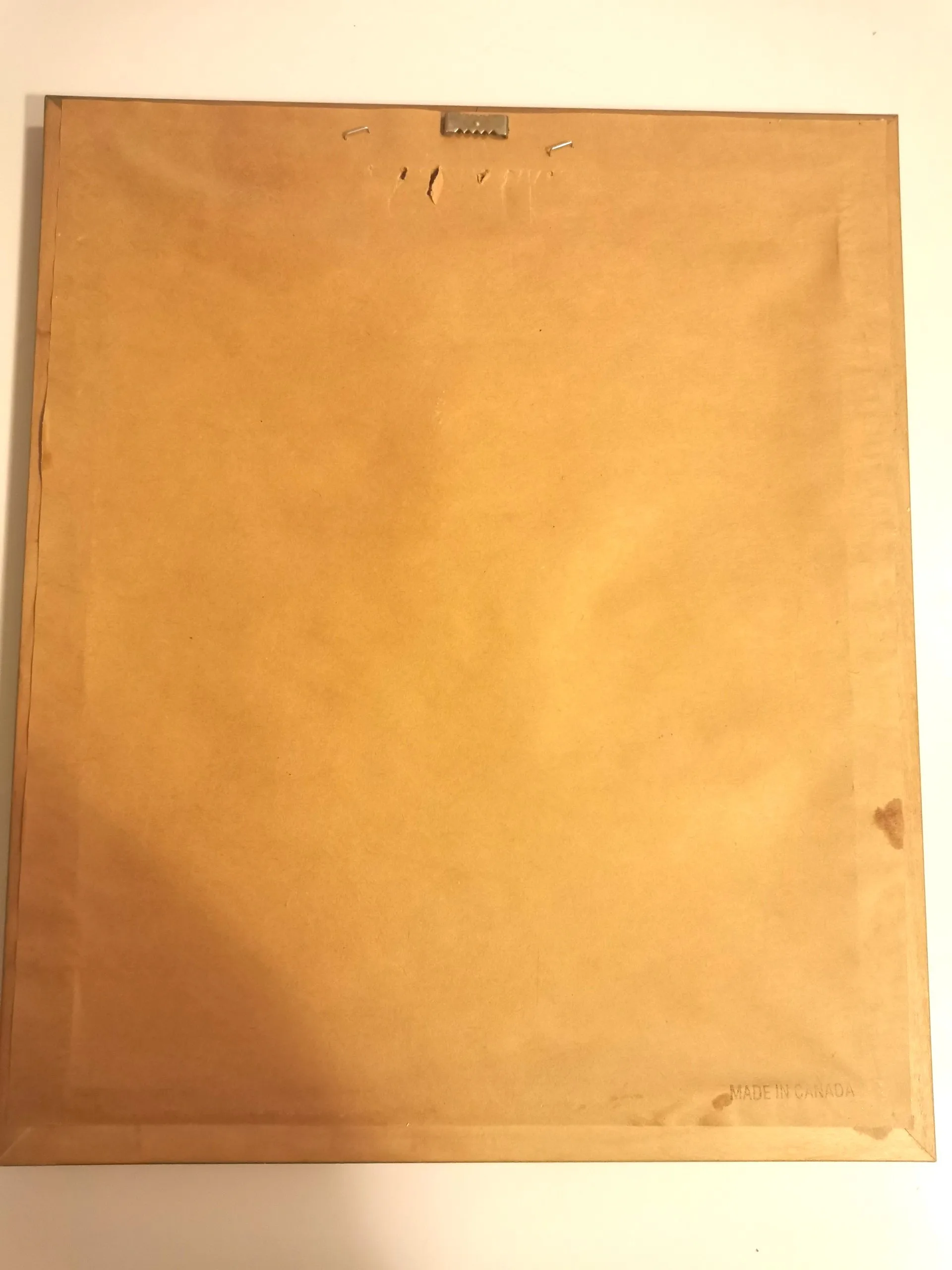 S. Hely” Vintage Floral Print 15″ × 13″ Signed Framed Sunflower image indicator(10)