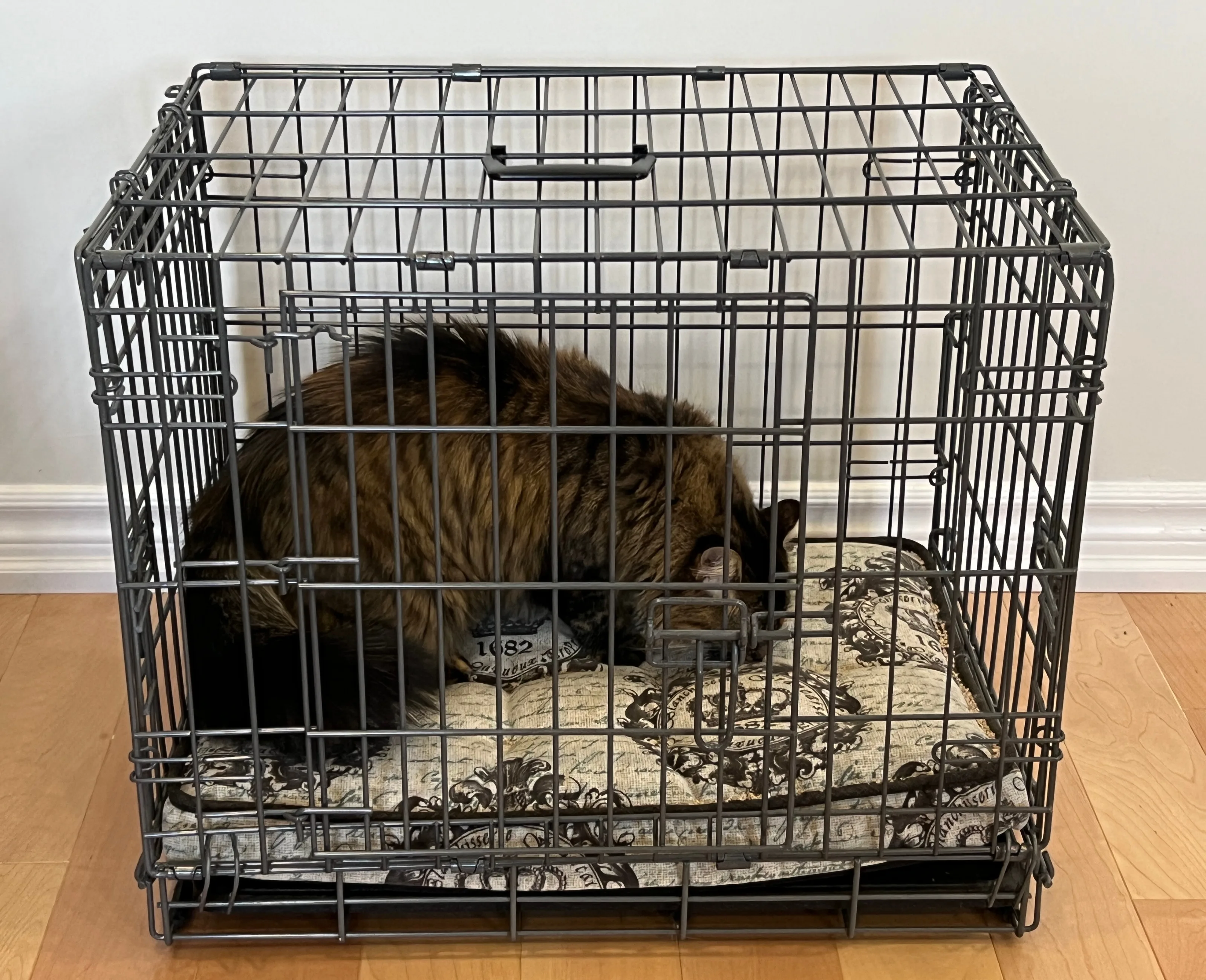 Luxury Puppy 'Apartment' Cage - ModernPuppies.com image indicator(8)