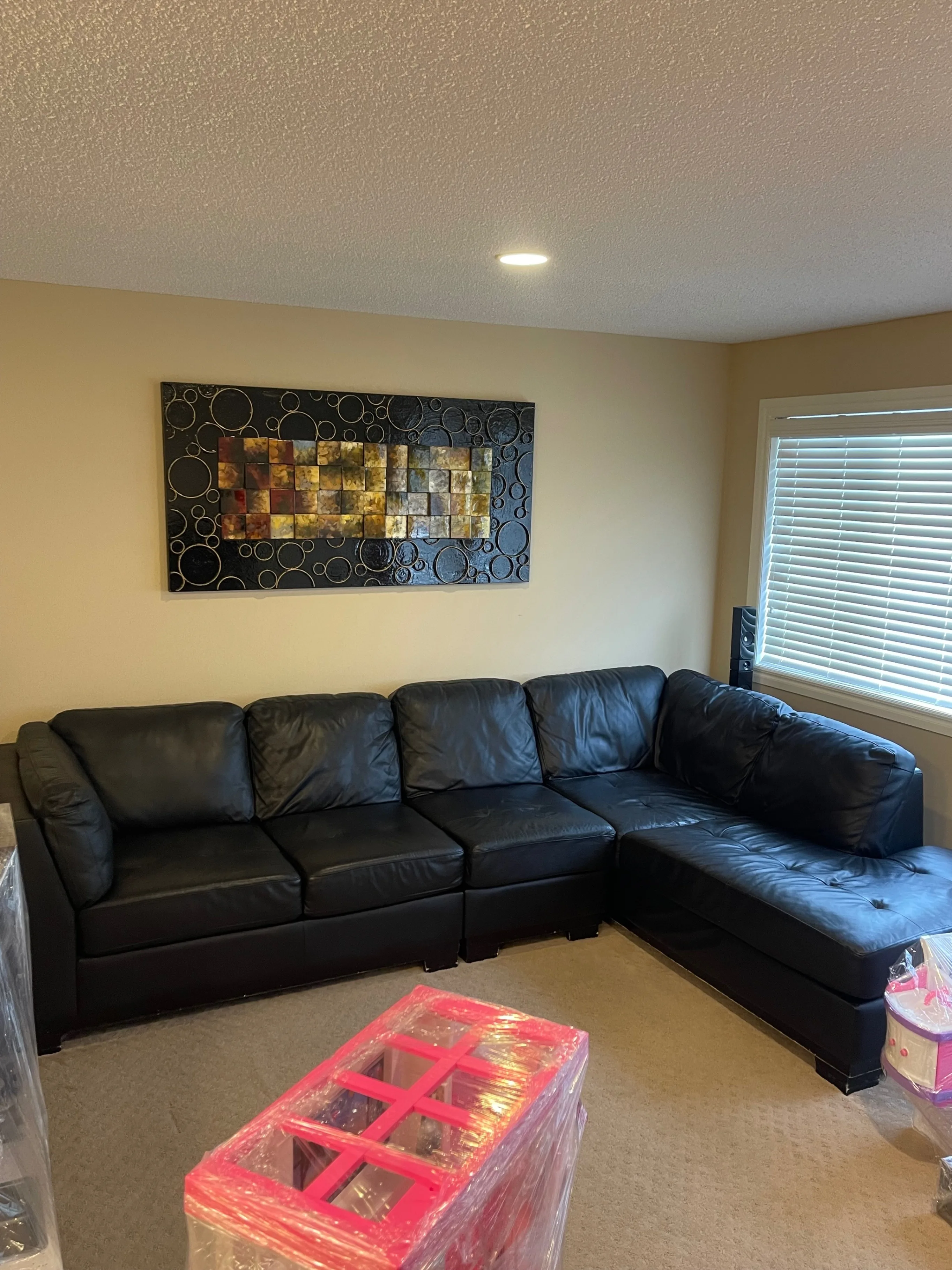 Leather Sectional thumbnail
