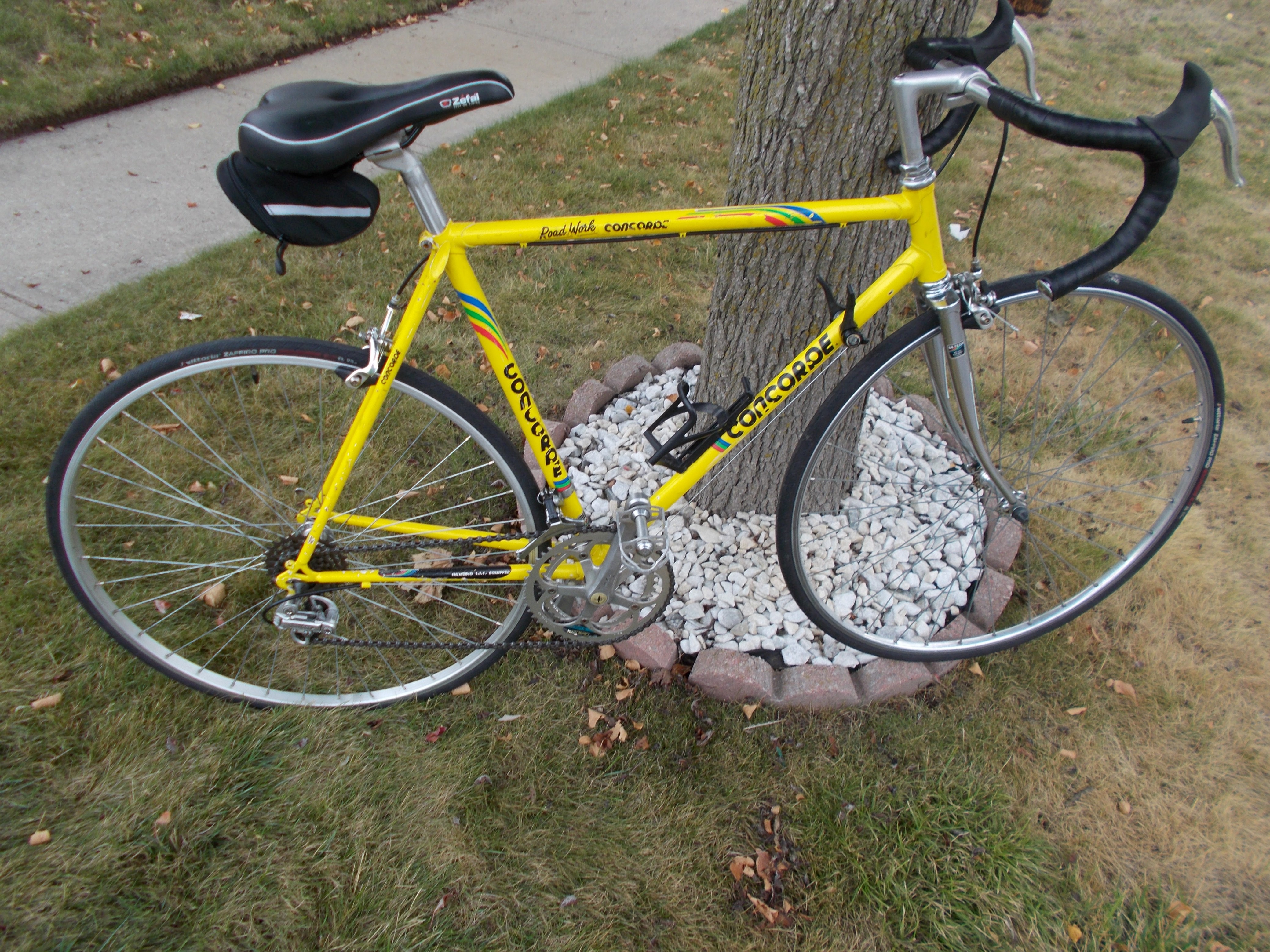 CONCORDE Yard Works road bike EXCELLENT SHAPE,TUNED