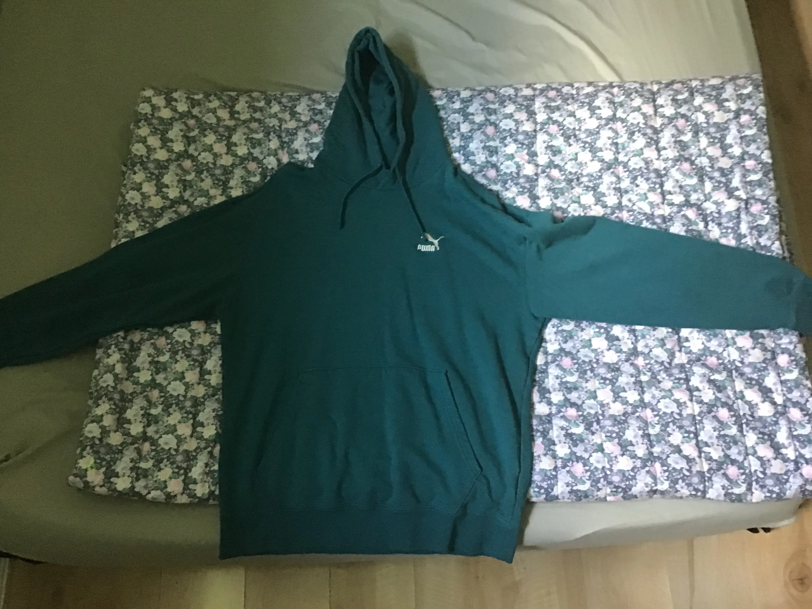 Puma Green Hoodie image indicator(5)