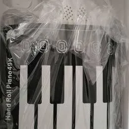 🥕 Soundz Roll Up Piano 49 Keys image indicator(3)