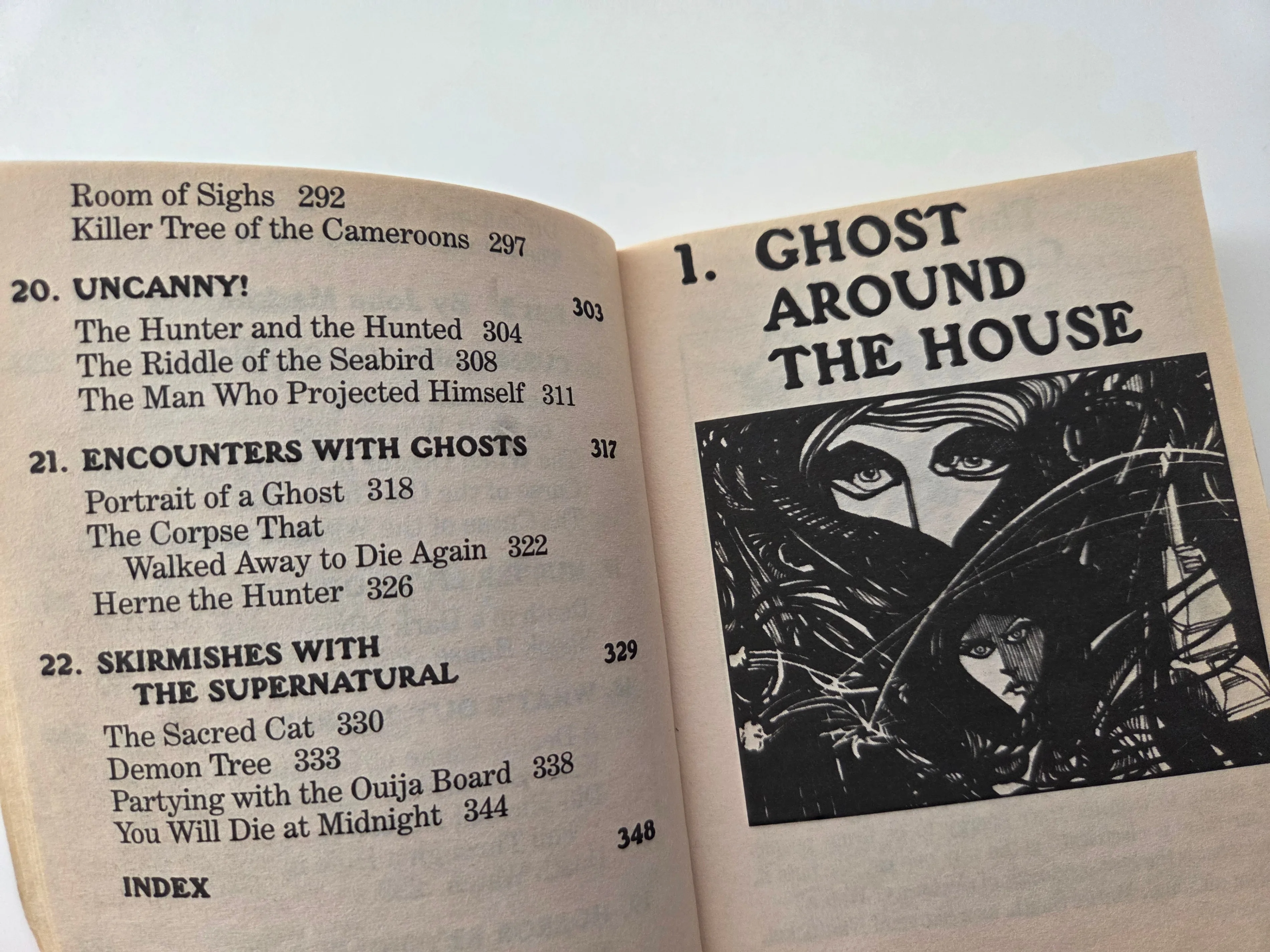 The Little Giant Book of True Ghost Stories image indicator(6)