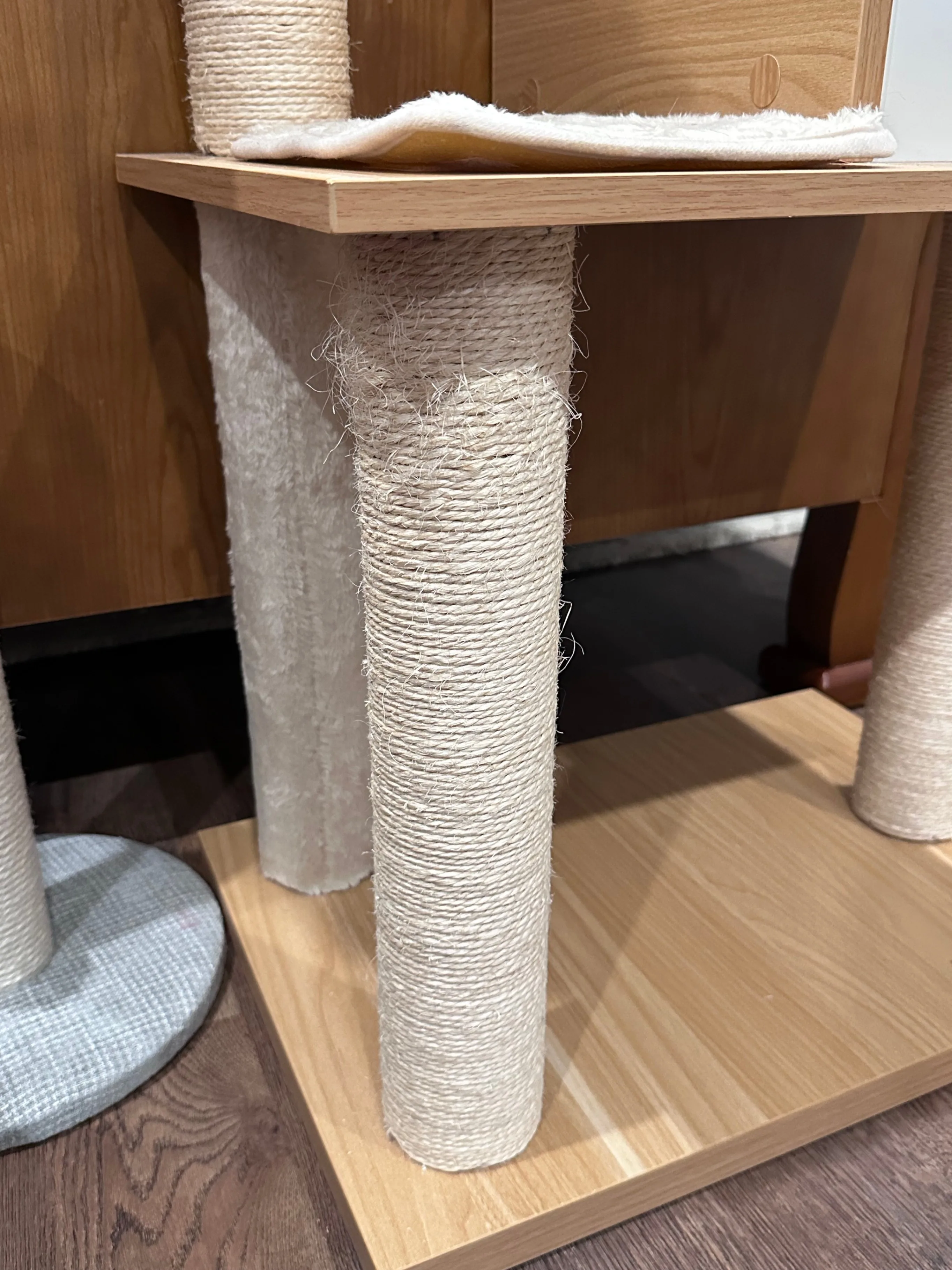 Cat Tower image indicator(2)