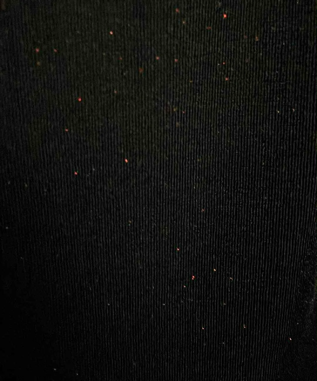 Women Top Black with Red Specks - Size 3X image indicator(2)