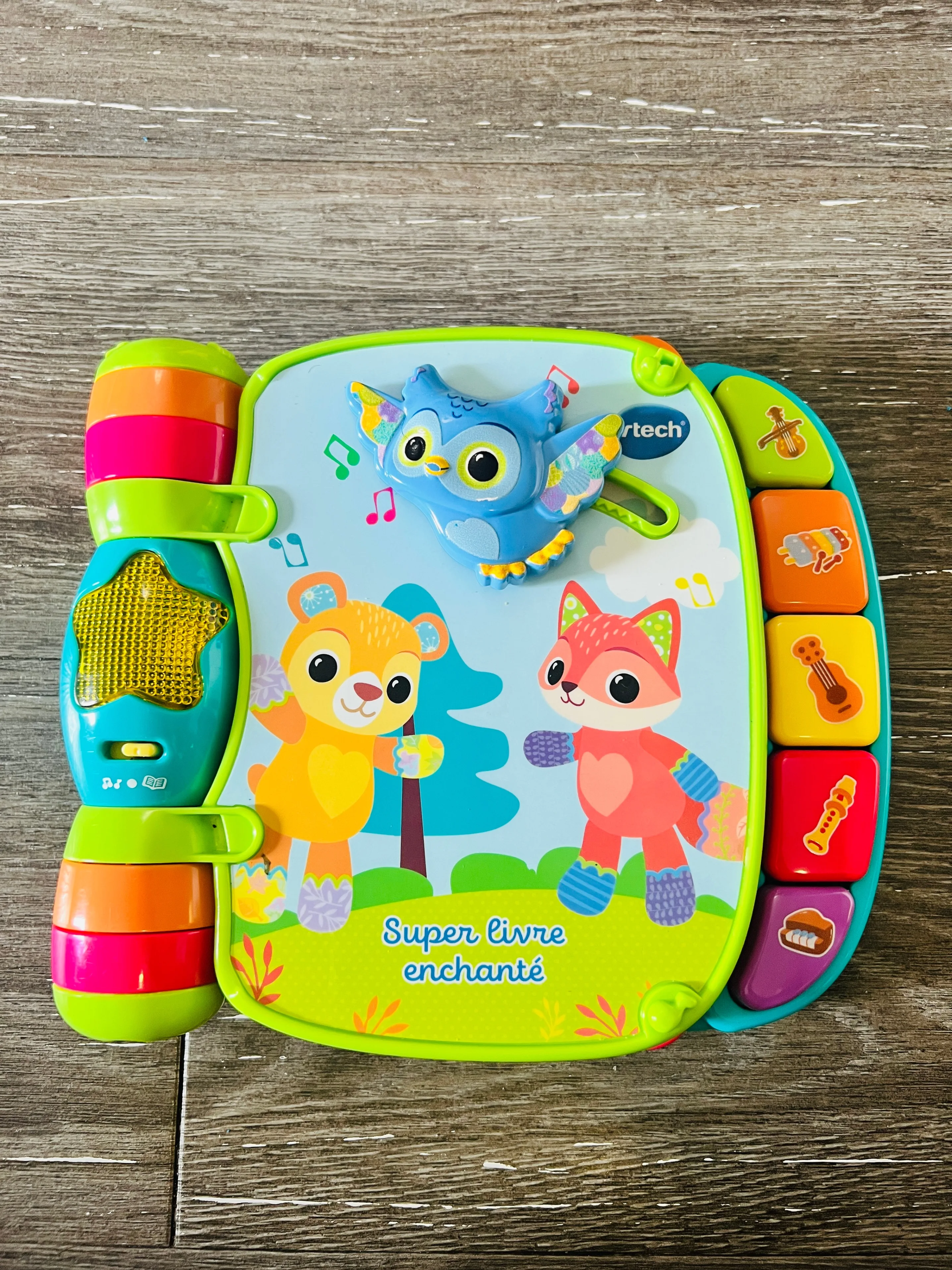 Animal Rhymes Music Book - French / Comptines pour animaux