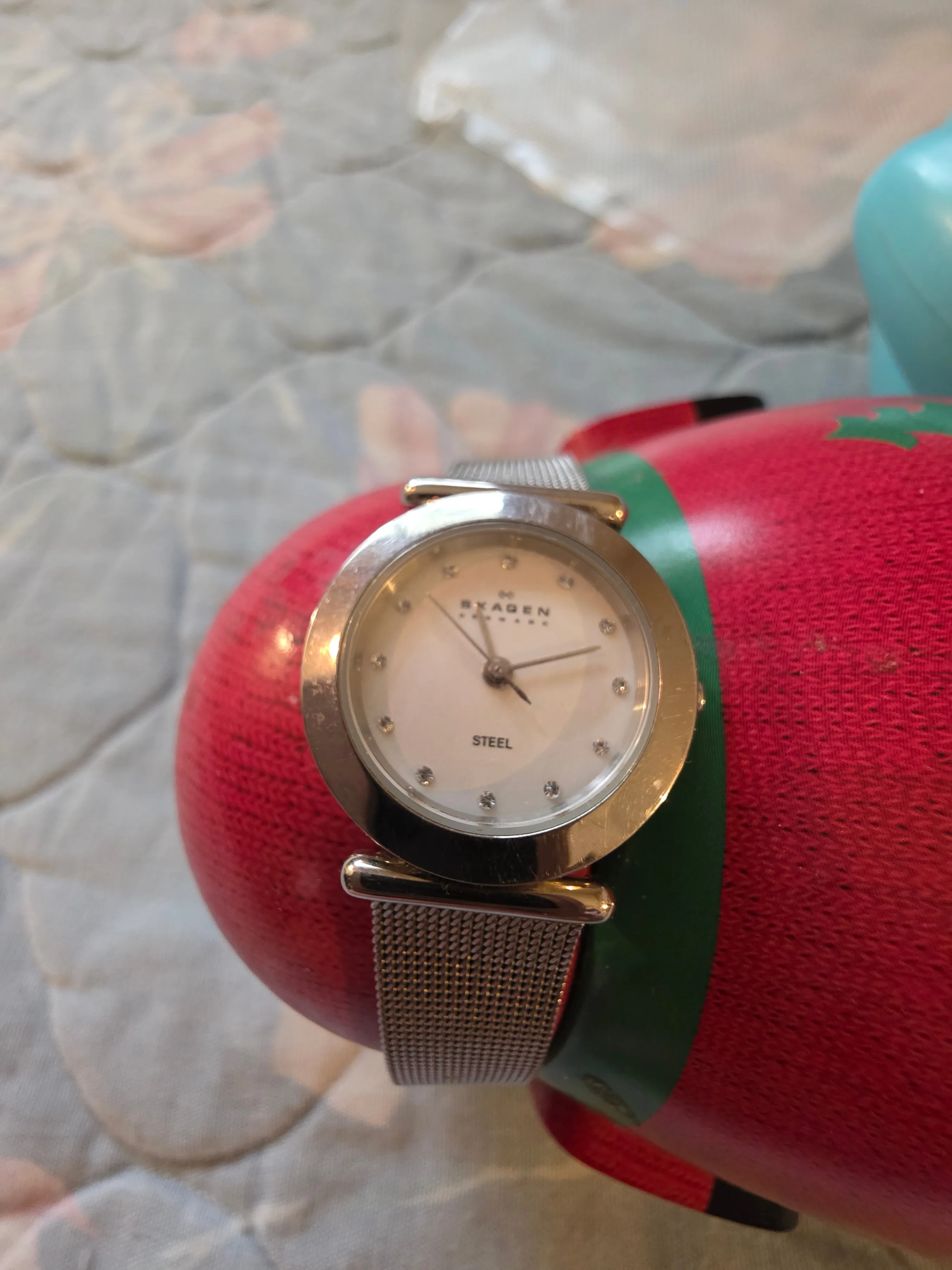 Skagen Steel Mesh Watch