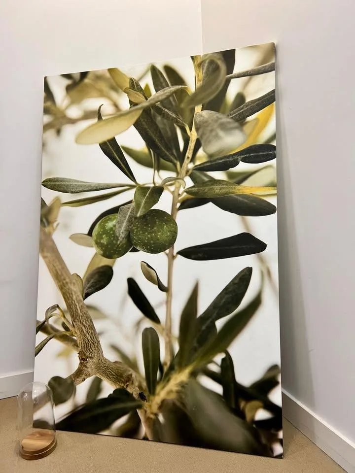 IKEA Large Canvas Print – Olive Tree