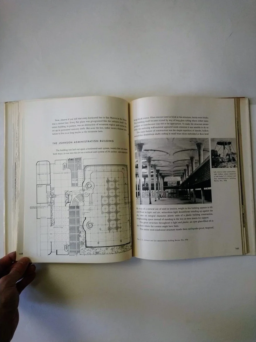 An American Architecture: Frank Lloyd Wright! image indicator(3)